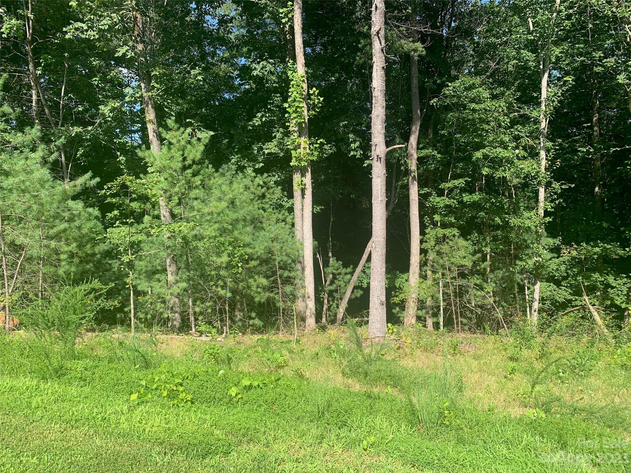 The Coves Mountain River Club - Land