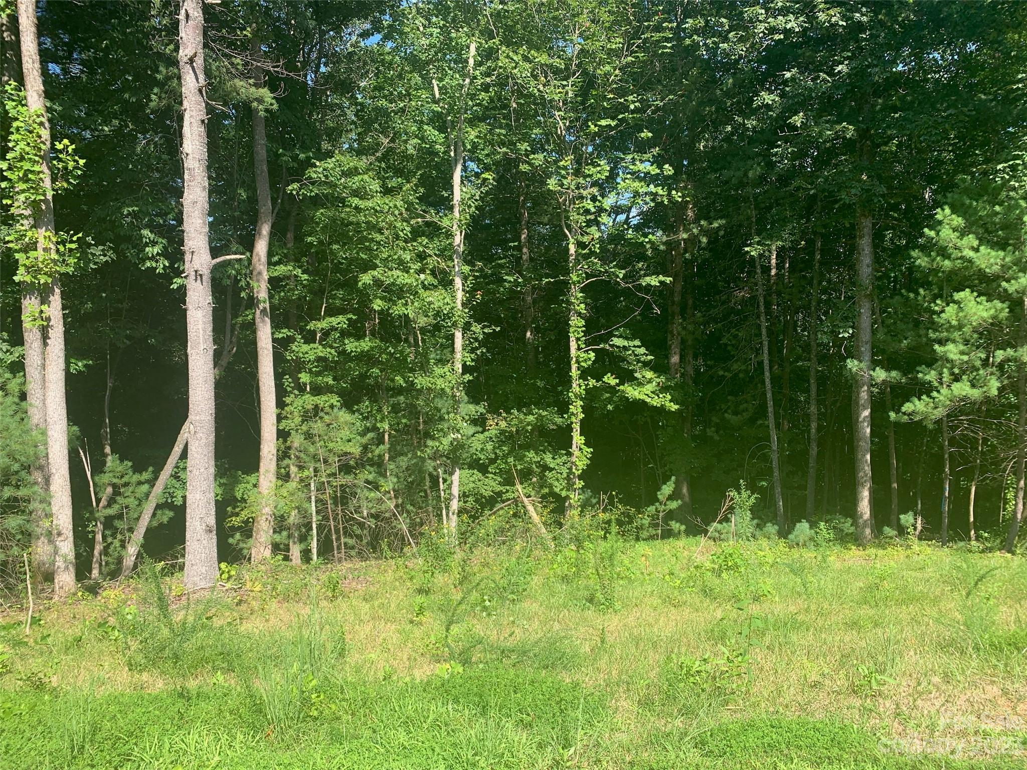 The Coves Mountain River Club - Land
