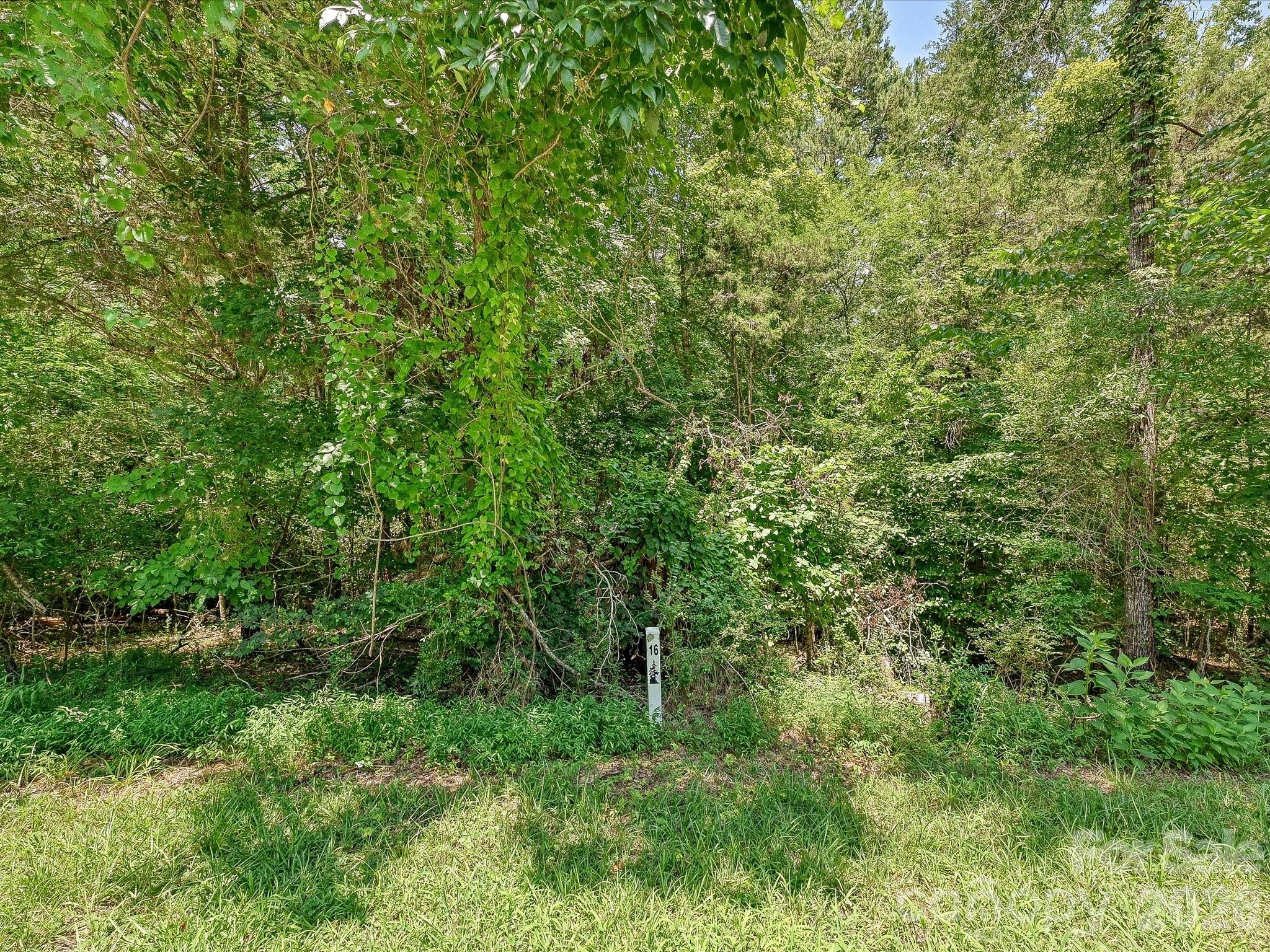The Preserve at Cold Water Creek - Land