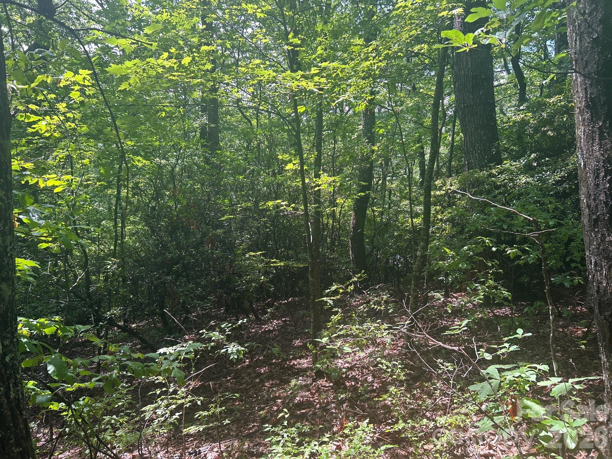 Hickory Acres - Land