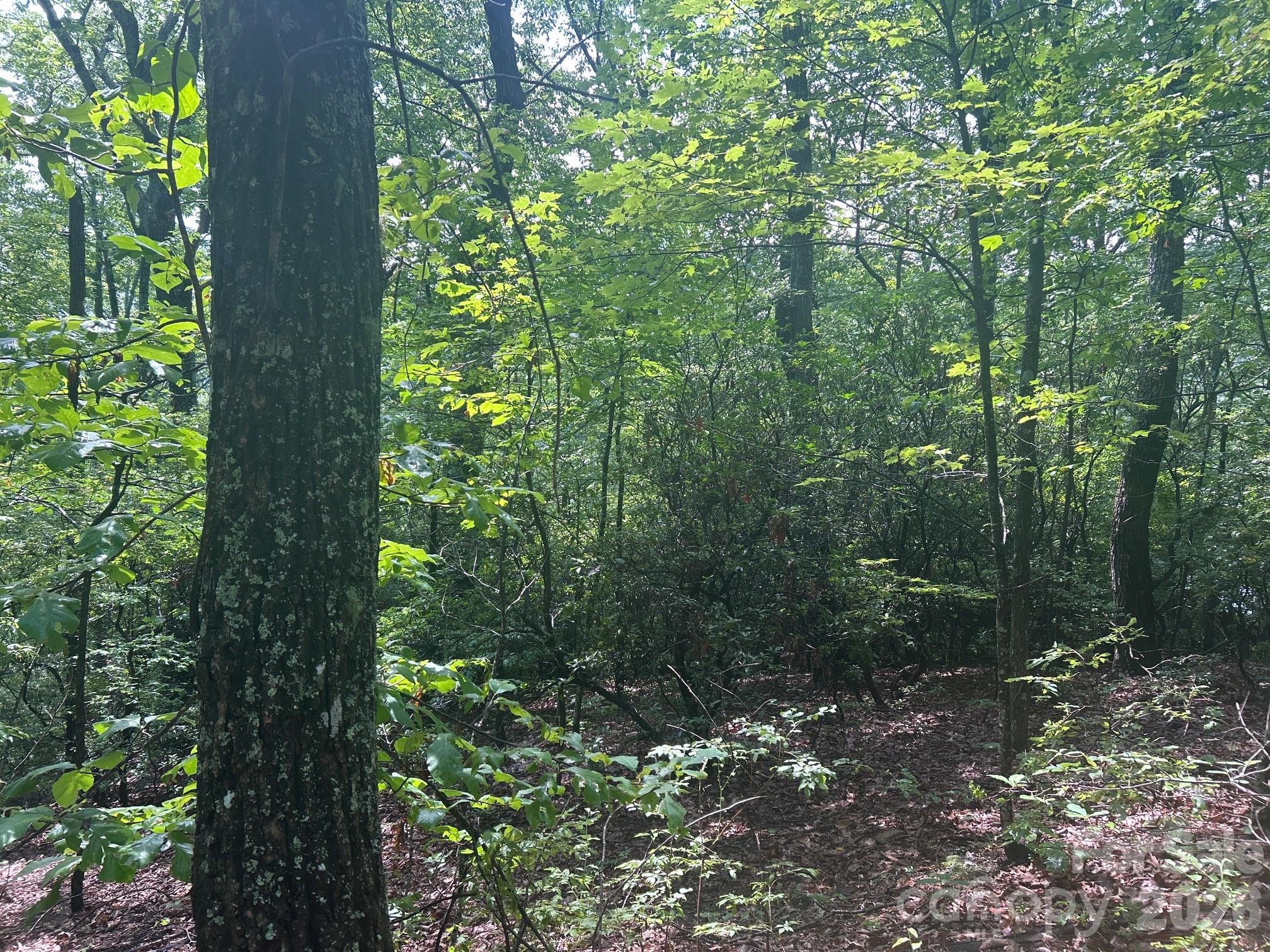 Hickory Acres - Land
