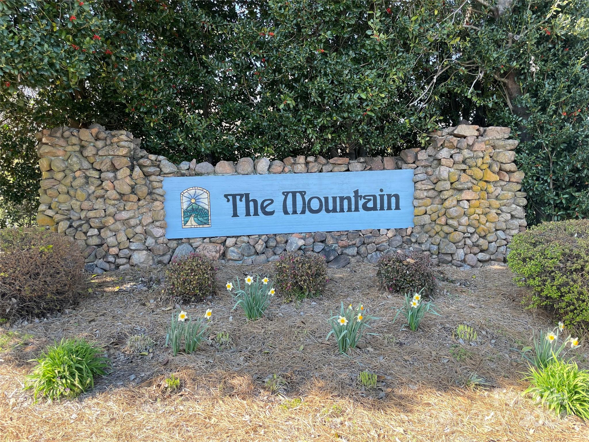The Mountain - Land