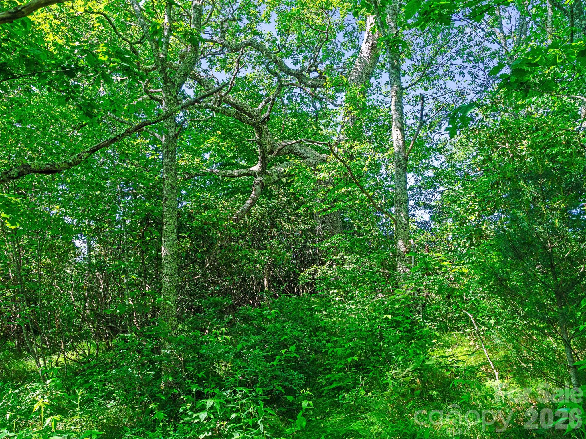Ogle Meadows - Land