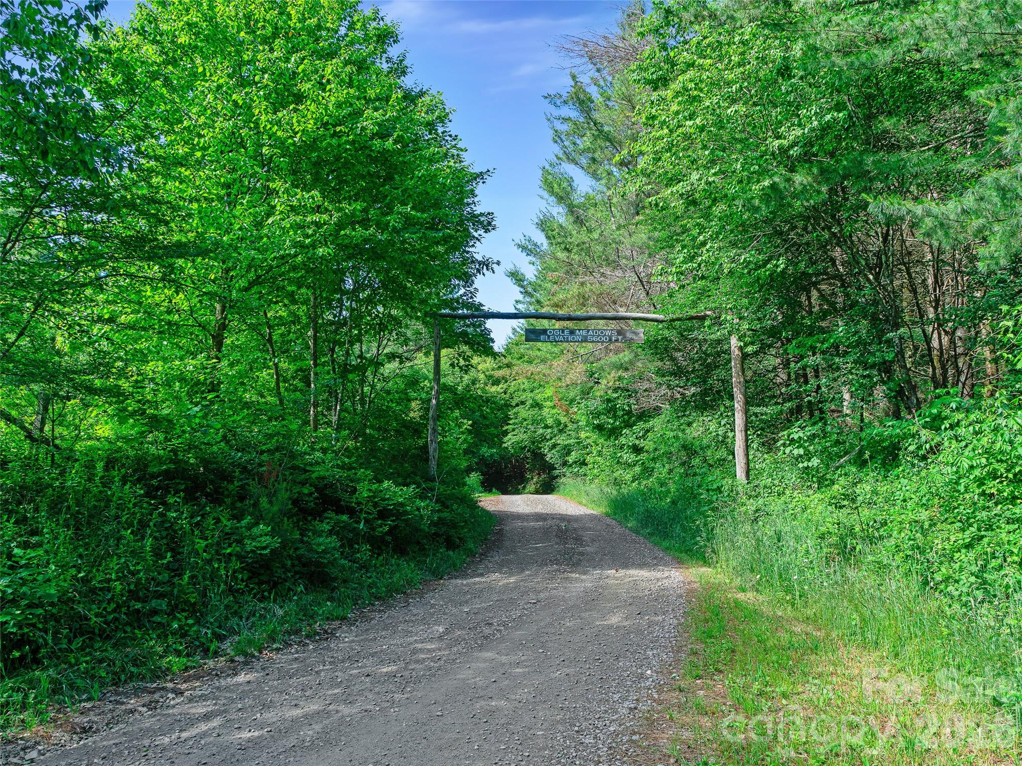 Ogle Meadows - Land