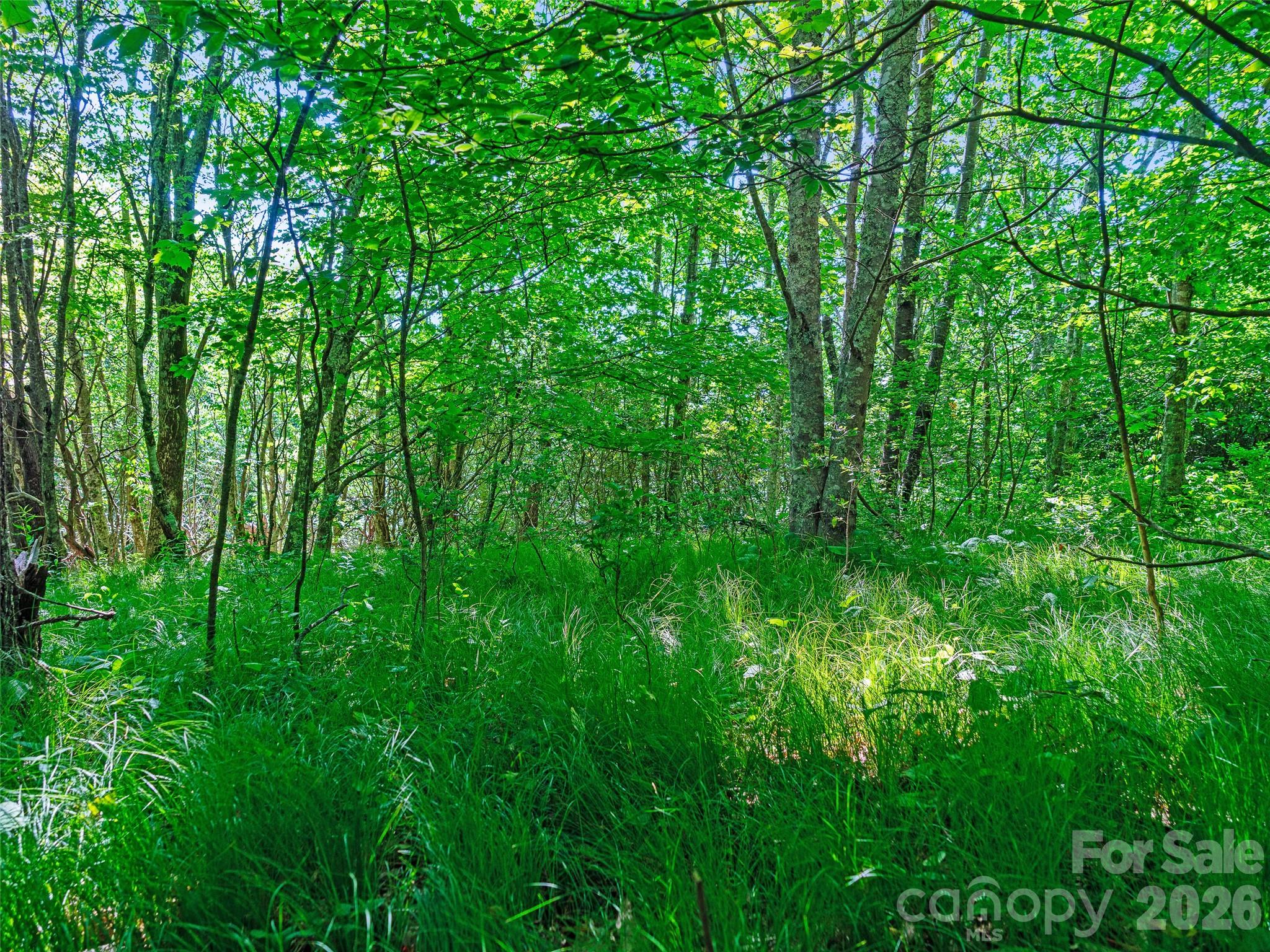 Ogle Meadows - Land
