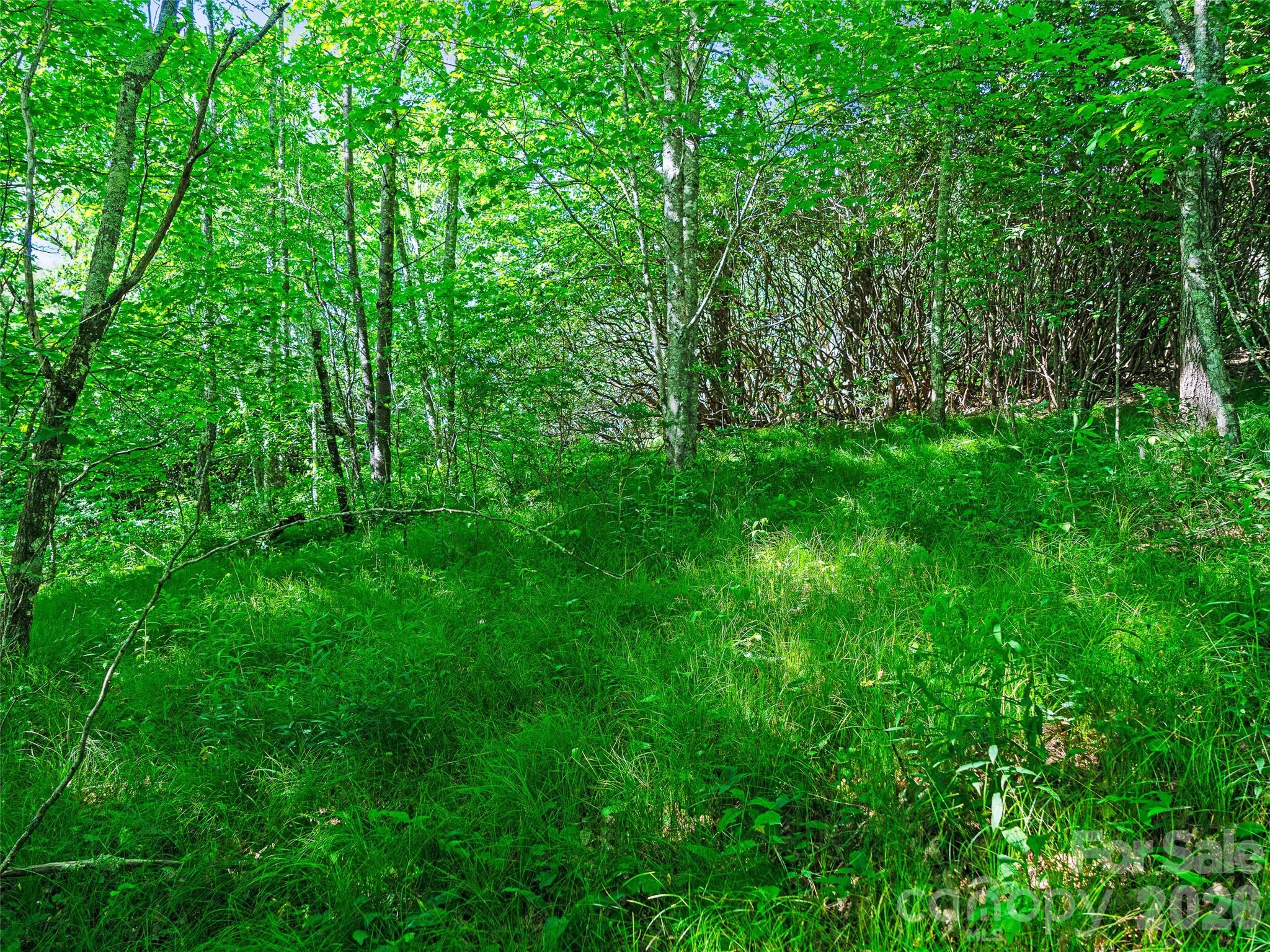 Ogle Meadows - Land