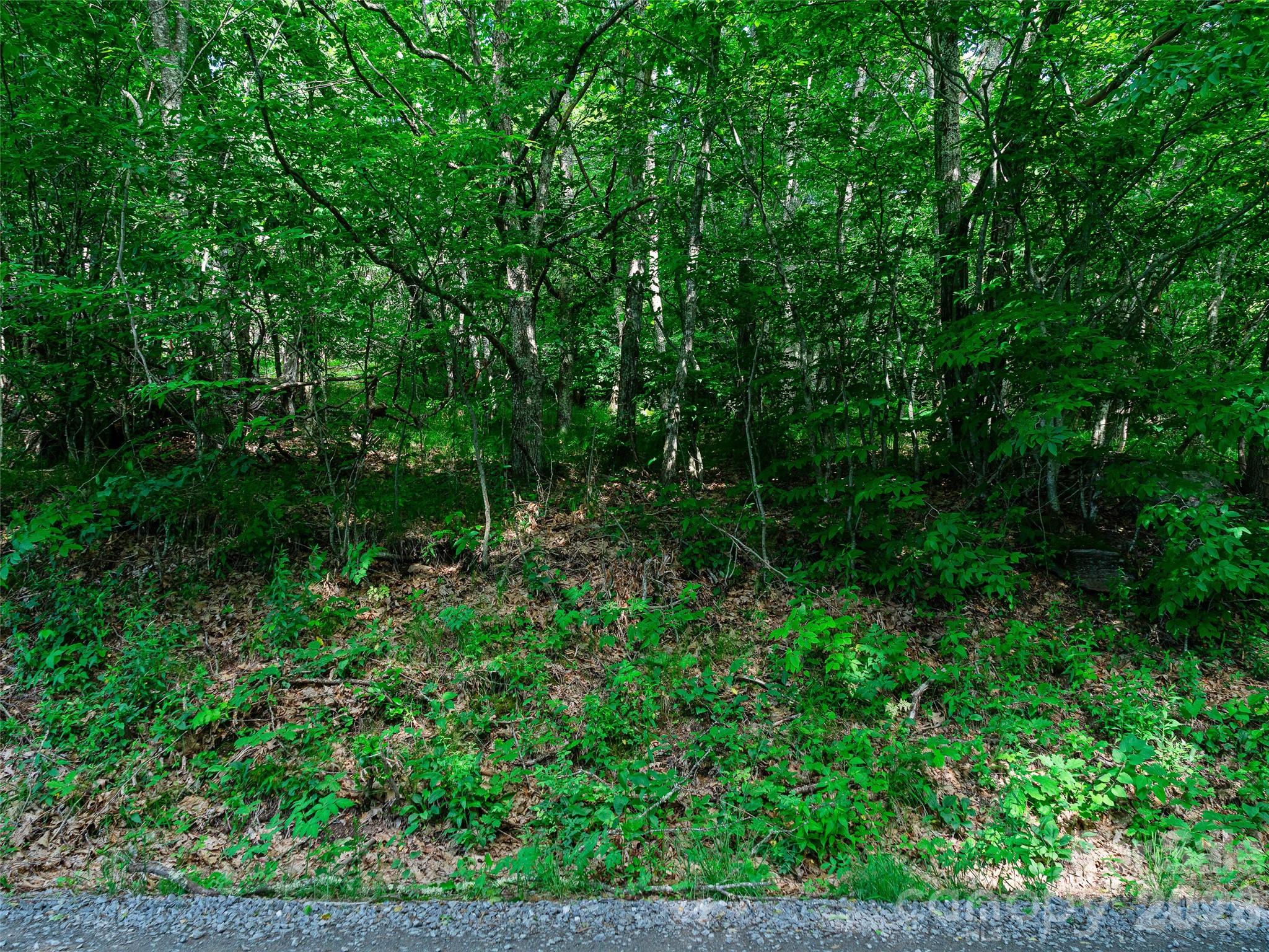 Ogle Meadows - Land