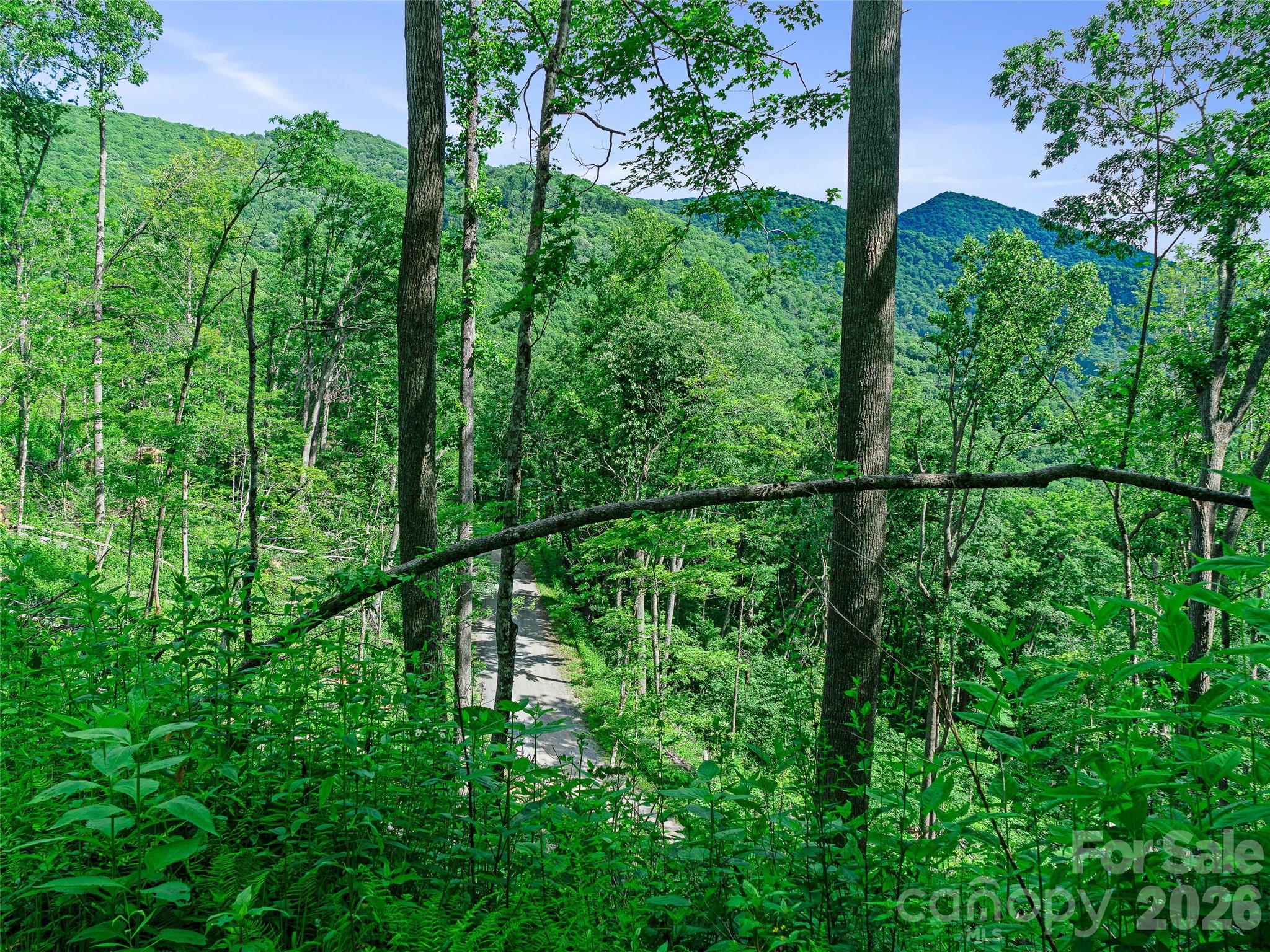 Ogle Meadows - Land