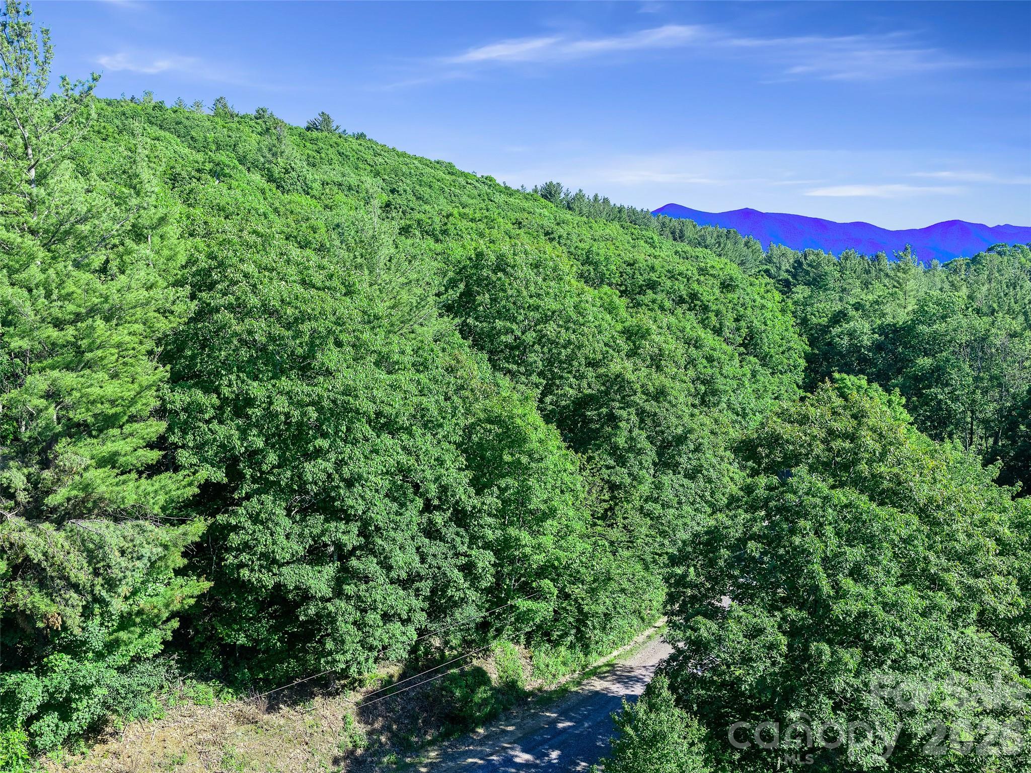 Ogle Meadows - Land