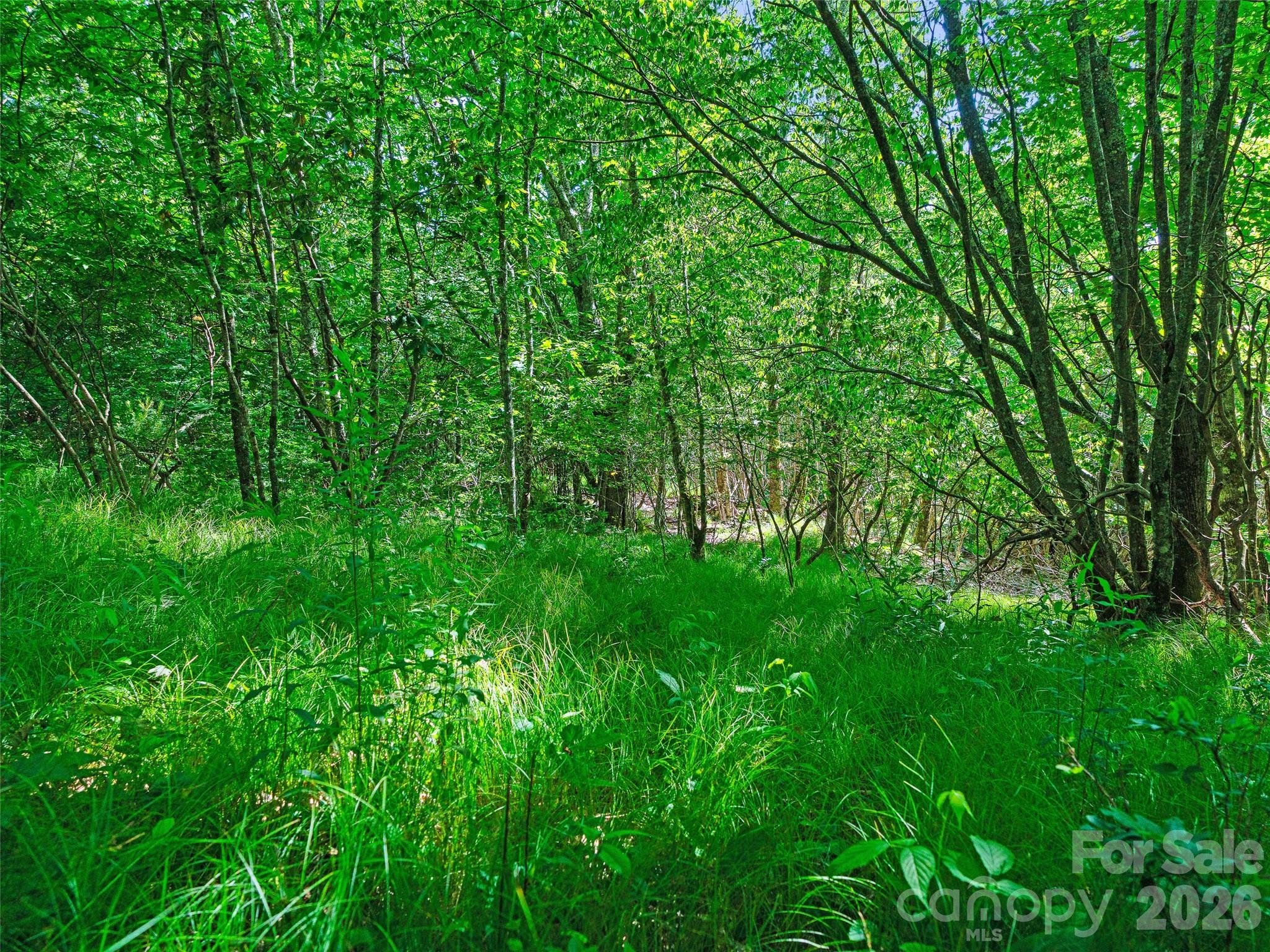 Ogle Meadows - Land