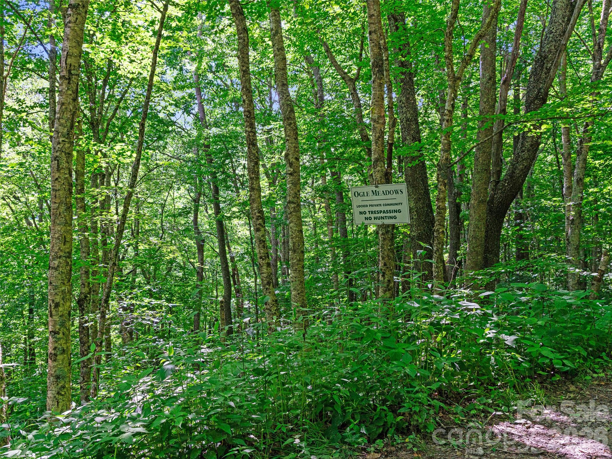 Ogle Meadows - Land