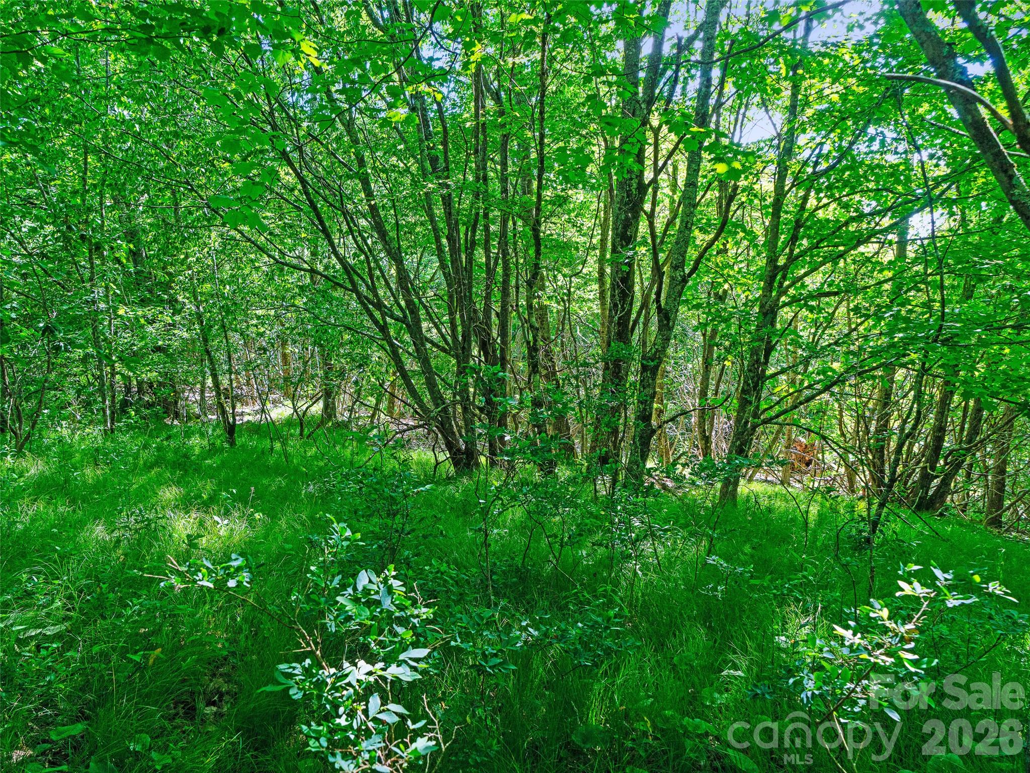 Ogle Meadows - Land