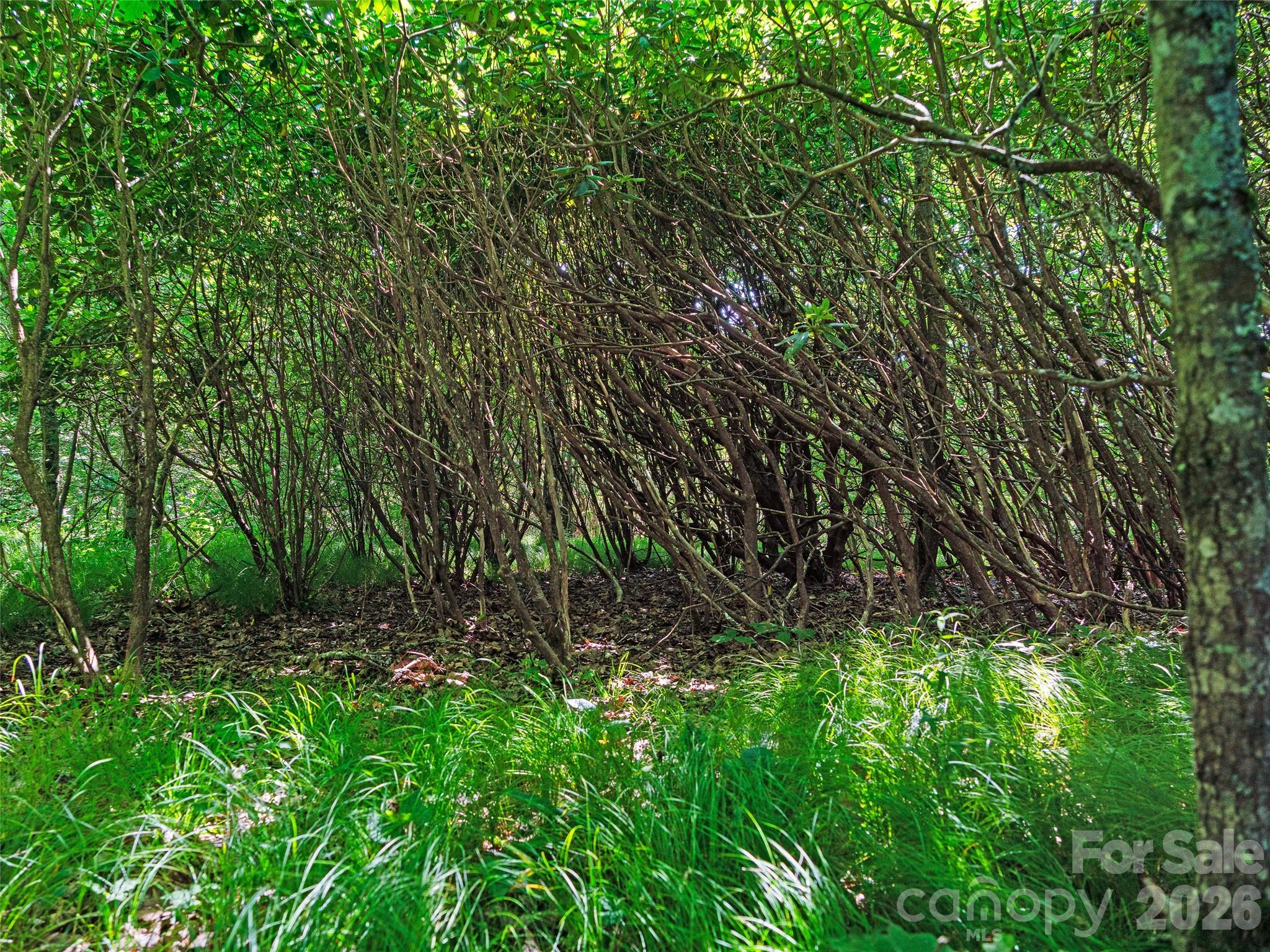 Ogle Meadows - Land