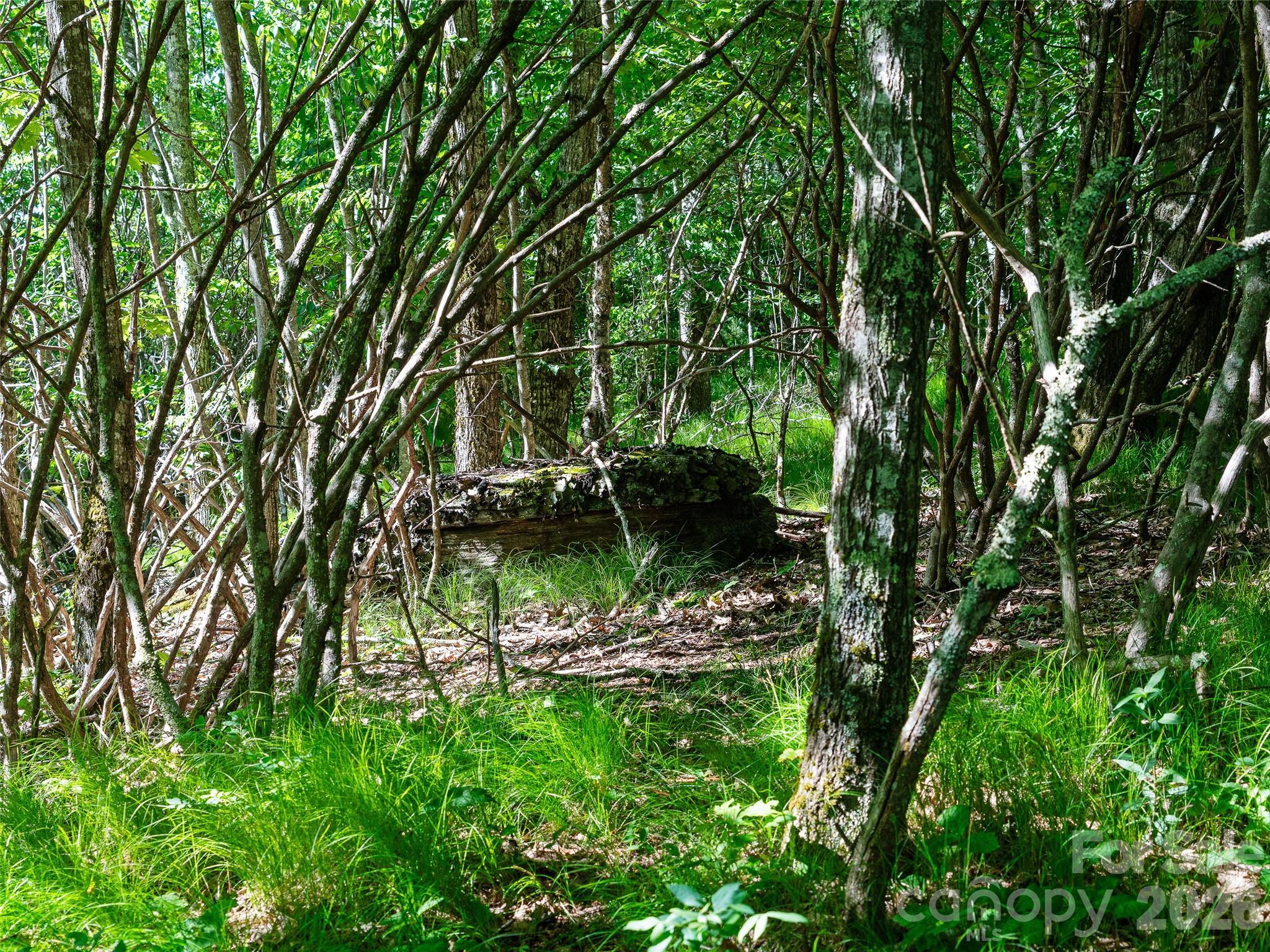 Ogle Meadows - Land