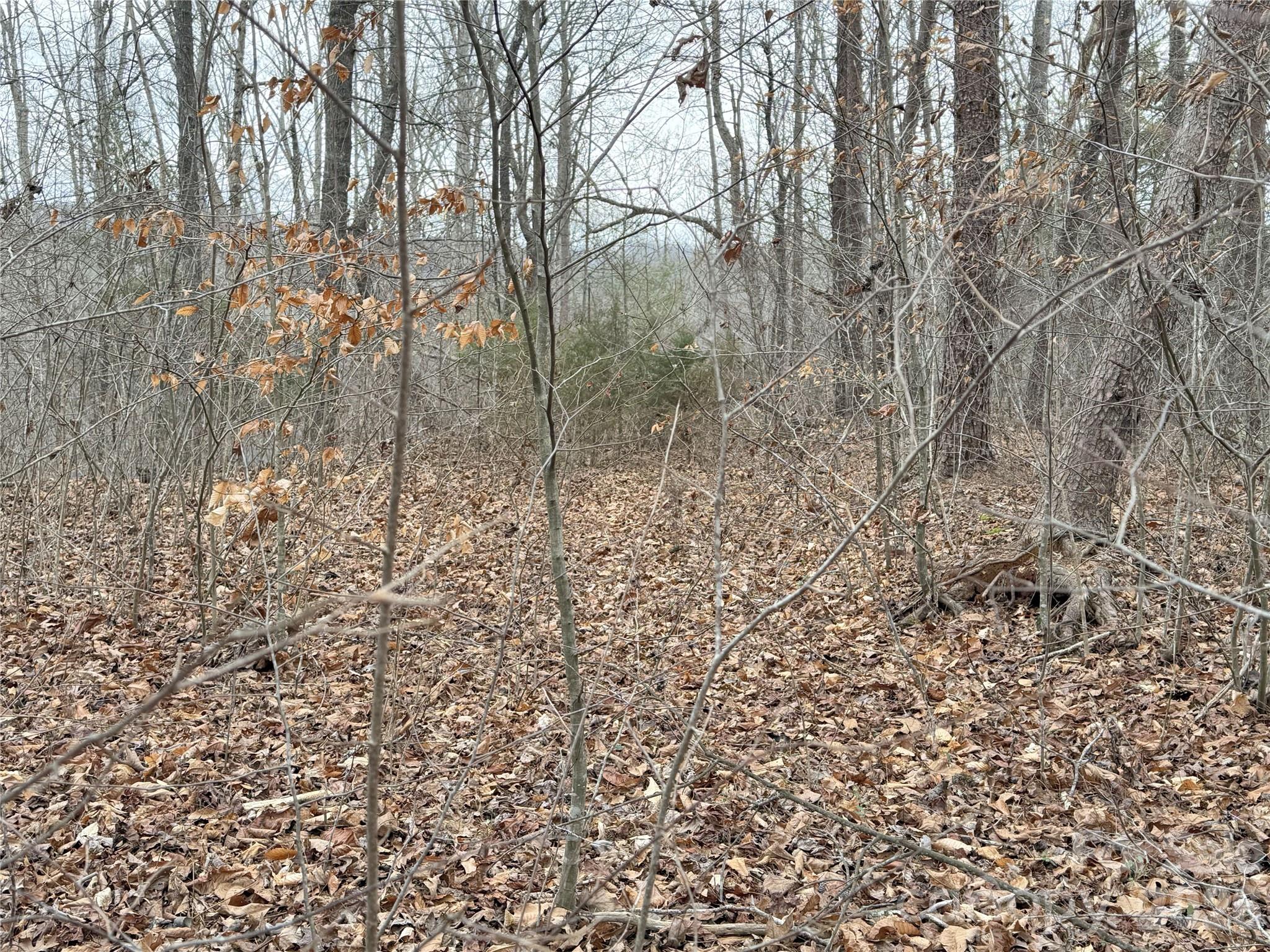 Vista At The Riverbank - Land