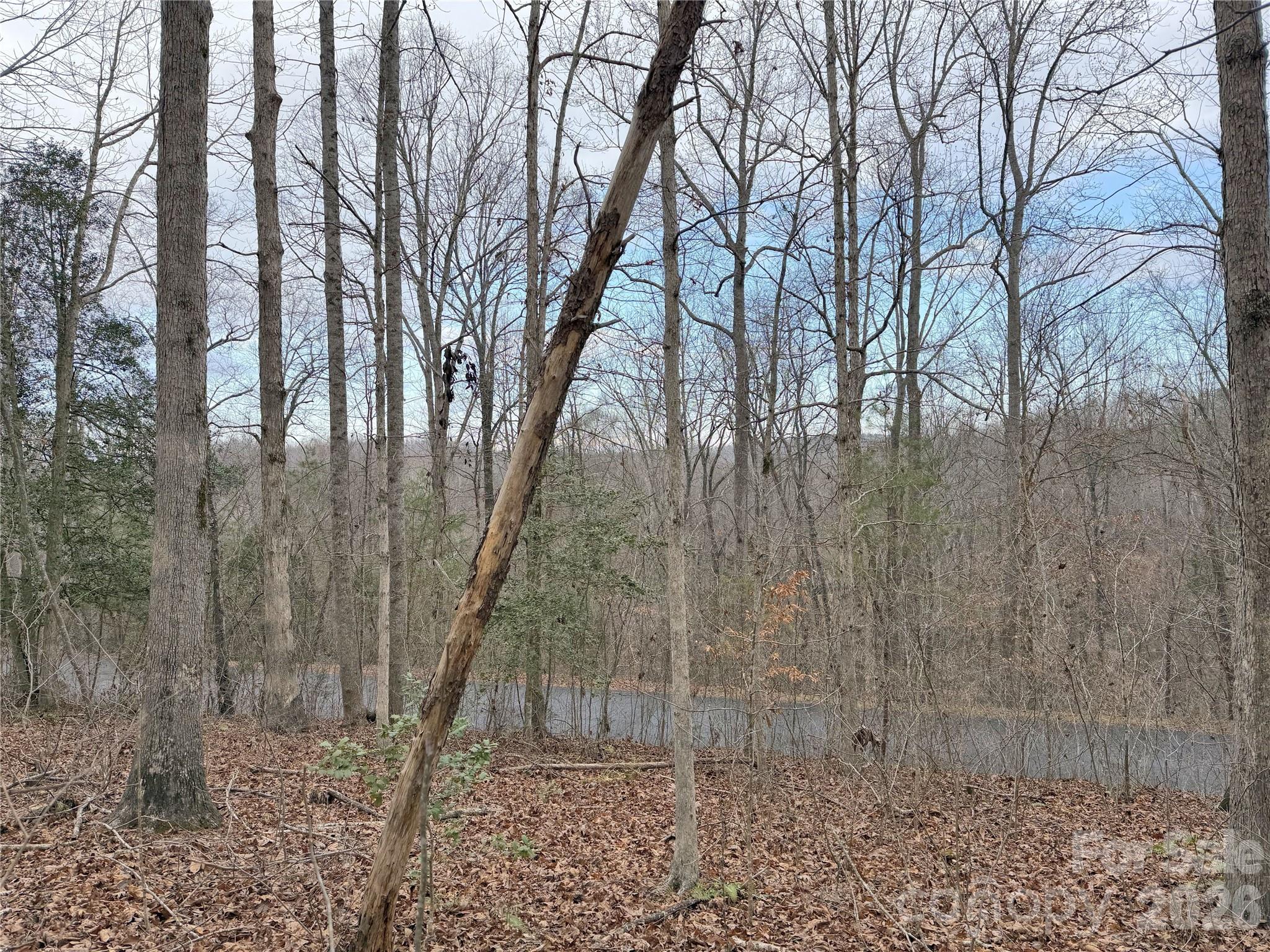 Desirable 1.77 acre knoll lot in Vista at The Riverbank, offering a gently elevated and private homesite with long frontage on East Rambling Creek Dr. Ideally located just minutes from the Tryon International Equestrian Center with quick and easy access to Hwy 74 for commuters. Vista at The Riverbank is a gated community with a peaceful atmosphere, featuring a beautiful common area with a gazebo and walking trails along the scenic White Oak Creek, a perfect setting for nature lovers.