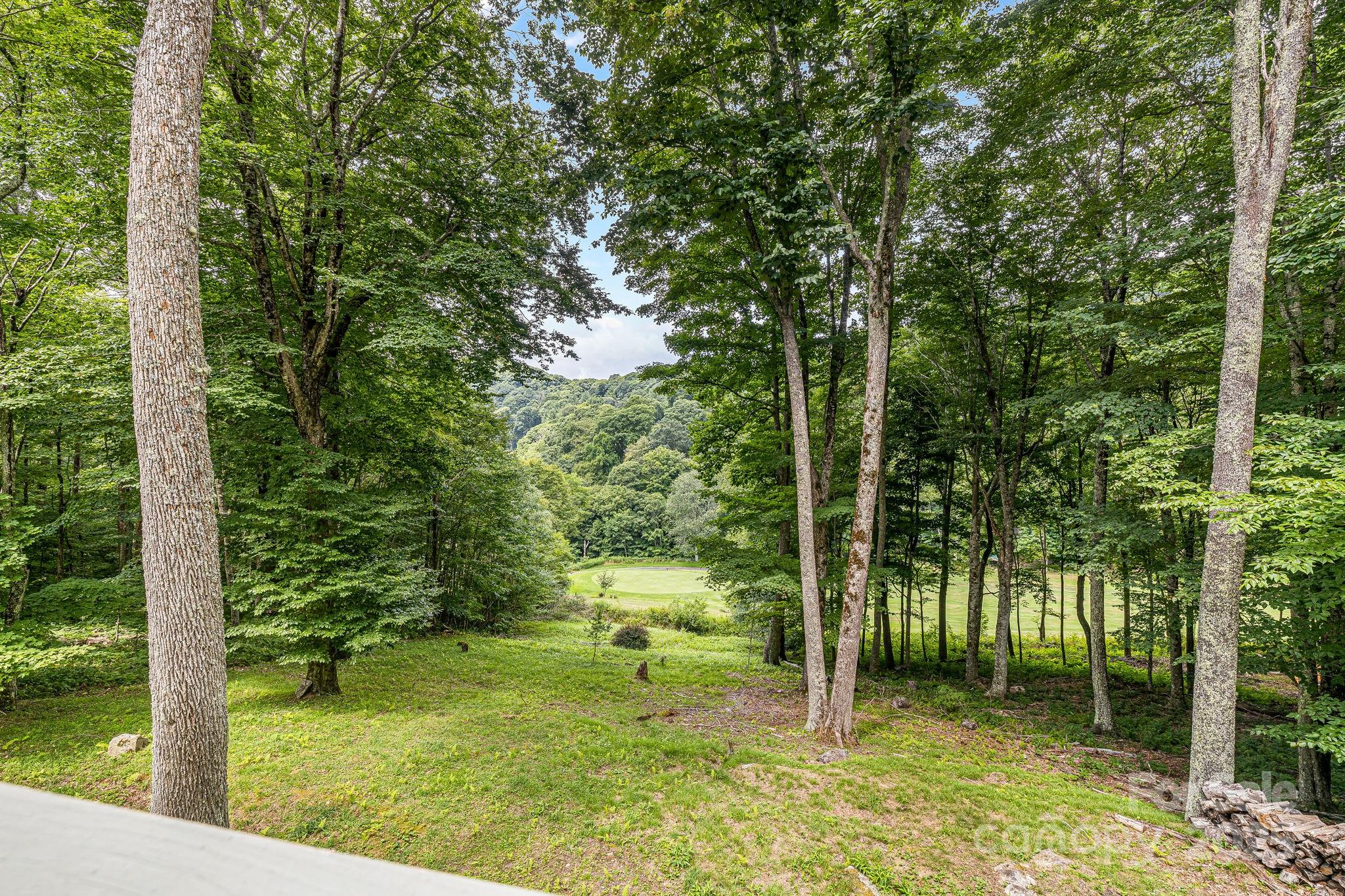 Wolf Laurel - Residential