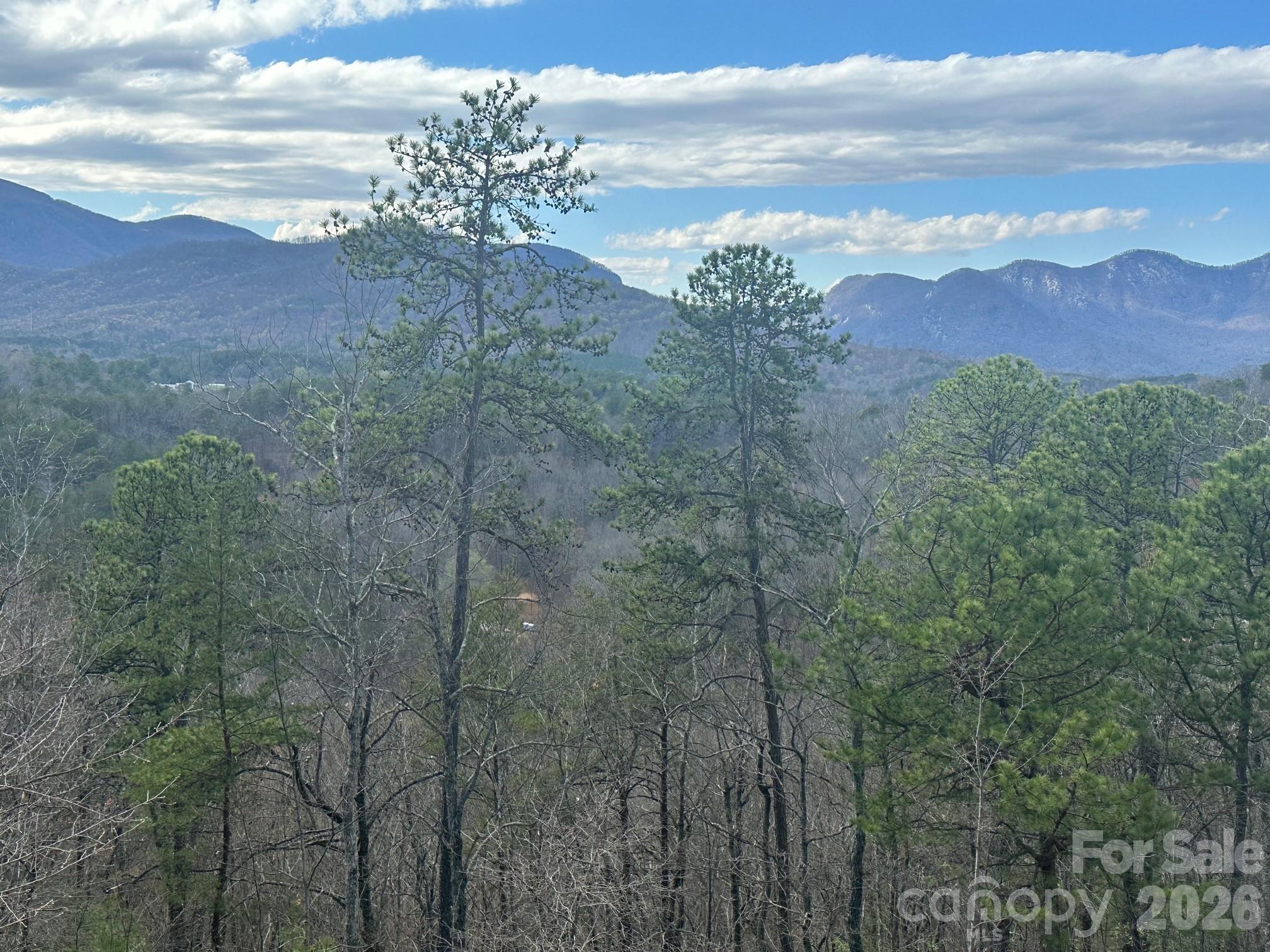 The Peaks at Lake Lure - Land