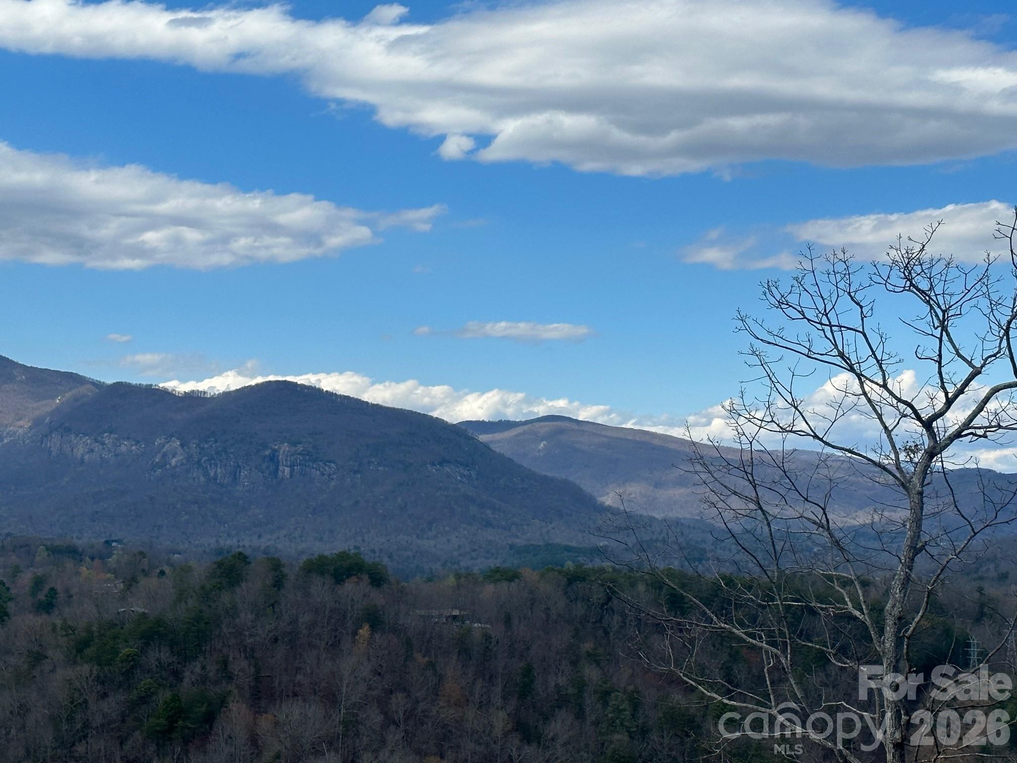 The Peaks at Lake Lure - Land