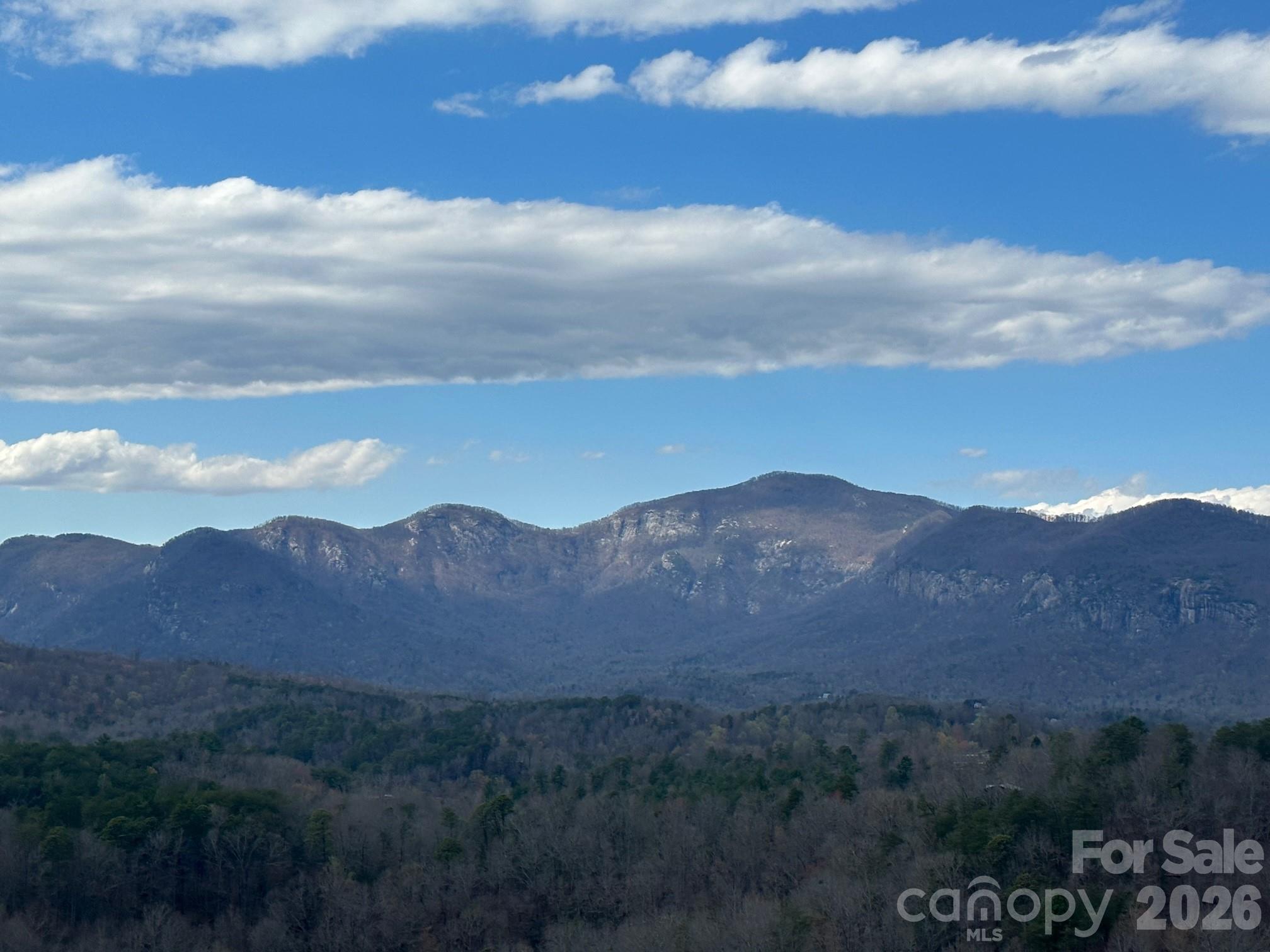 The Peaks at Lake Lure - Land