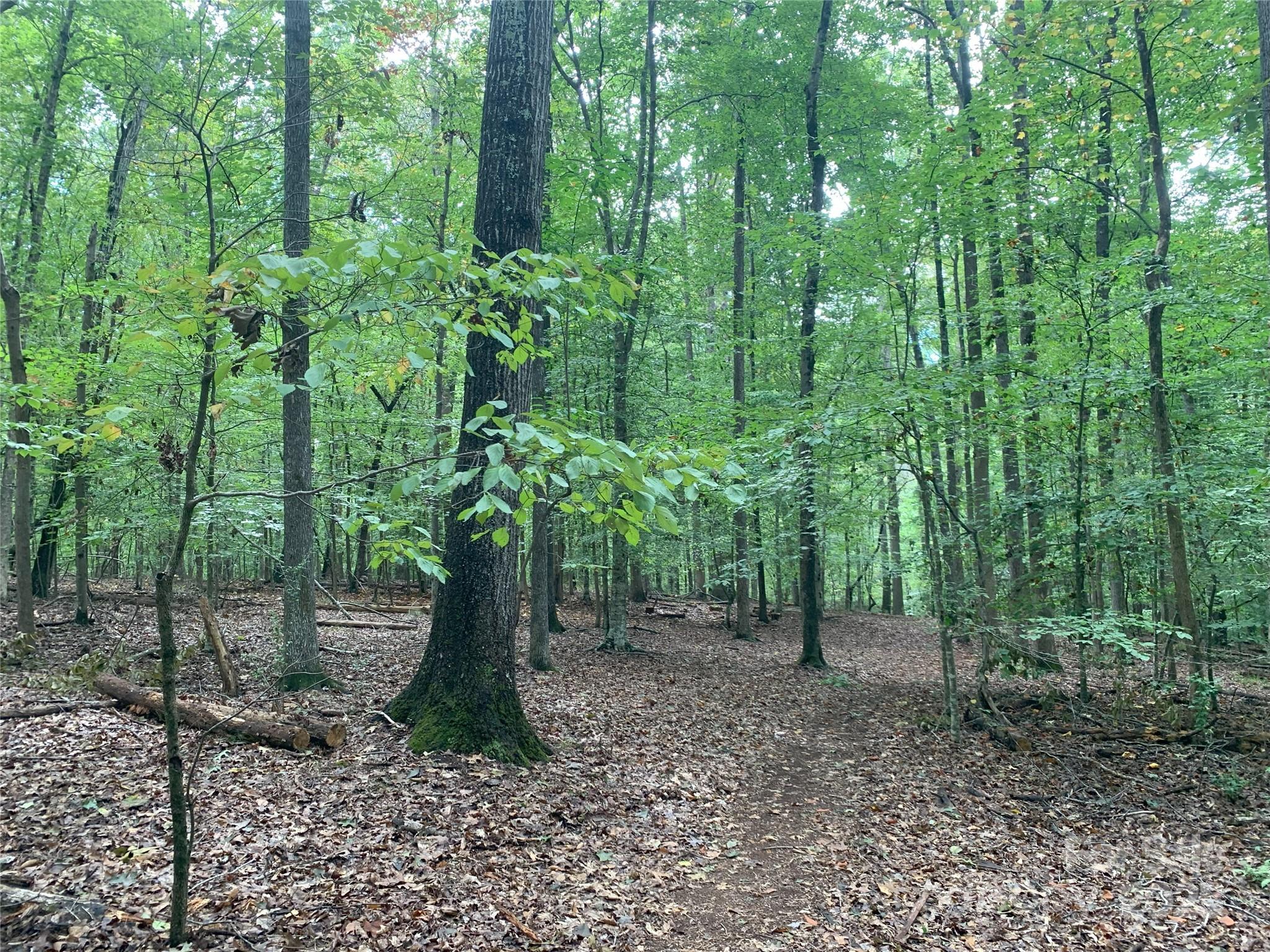 Deerwoods - Land