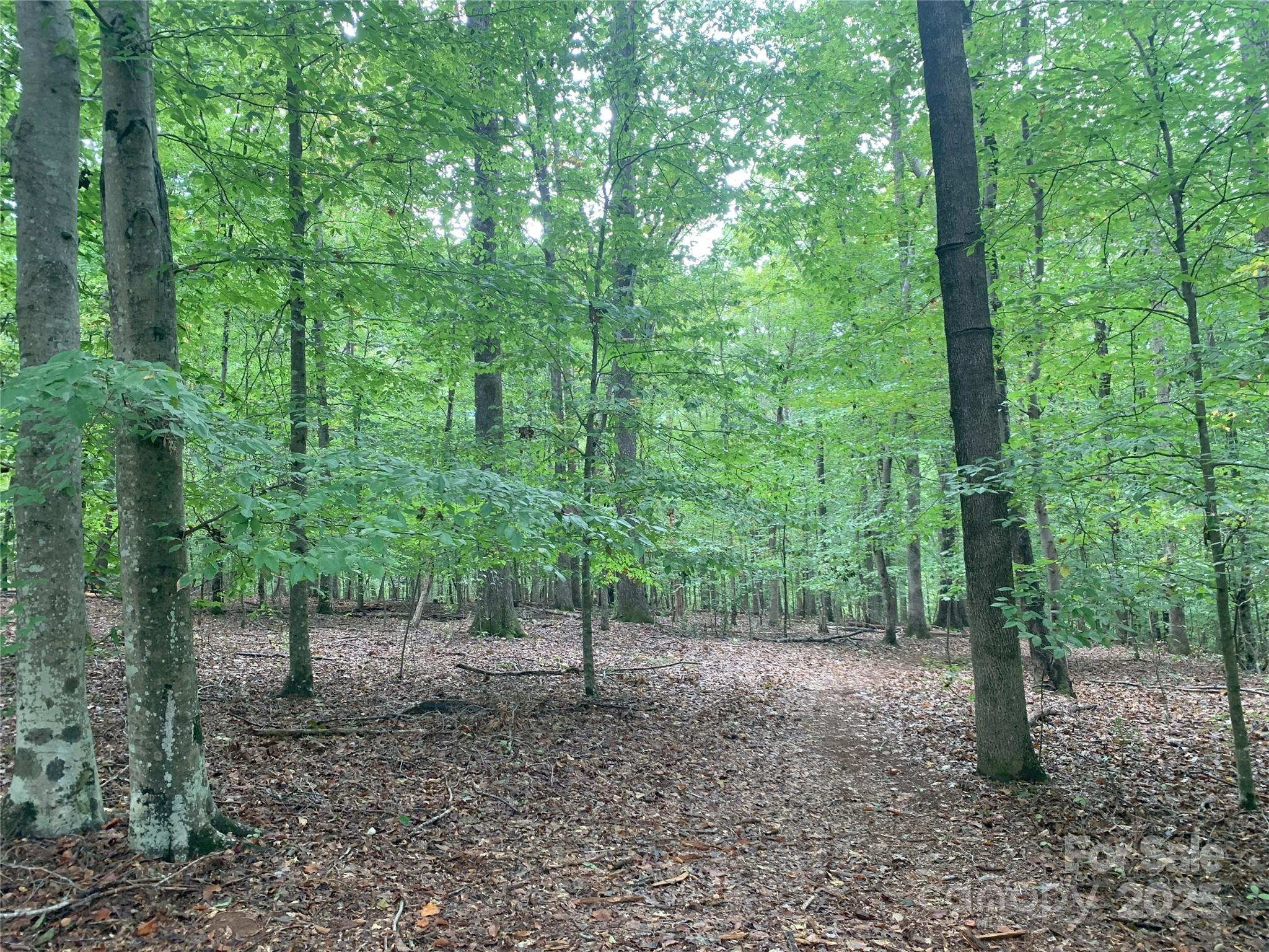 Deerwoods - Land