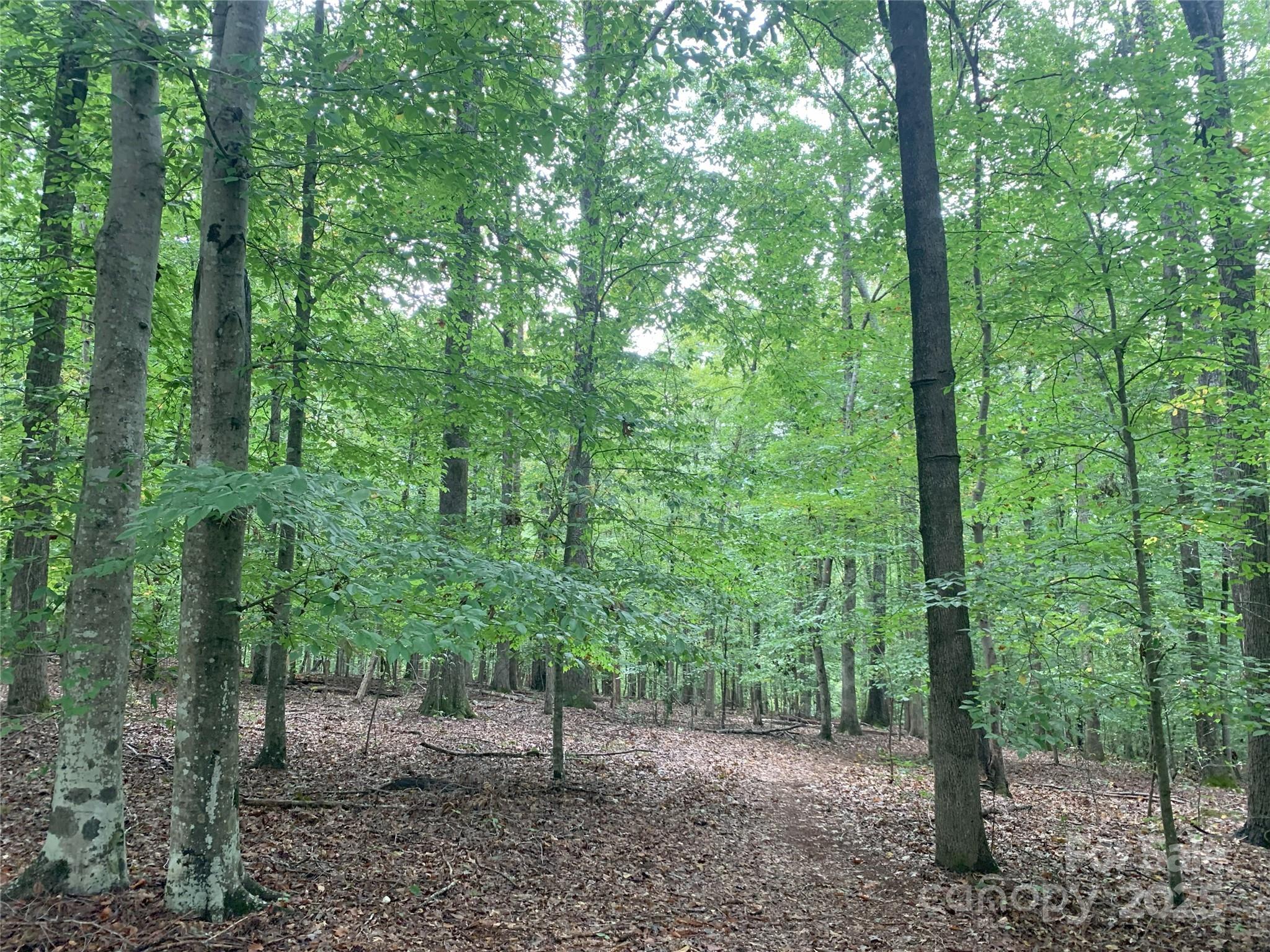 Deerwoods - Land