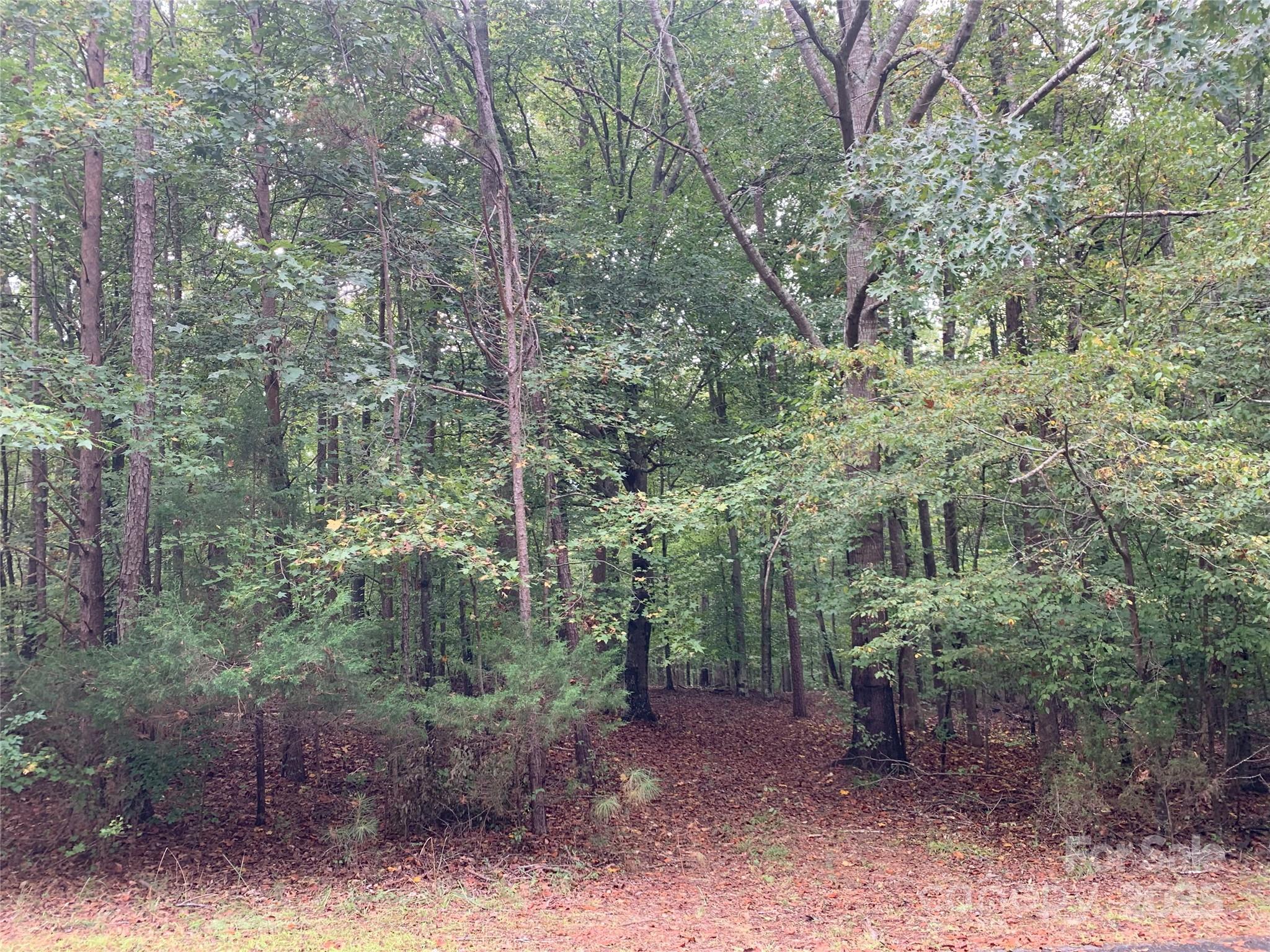Deerwoods - Land