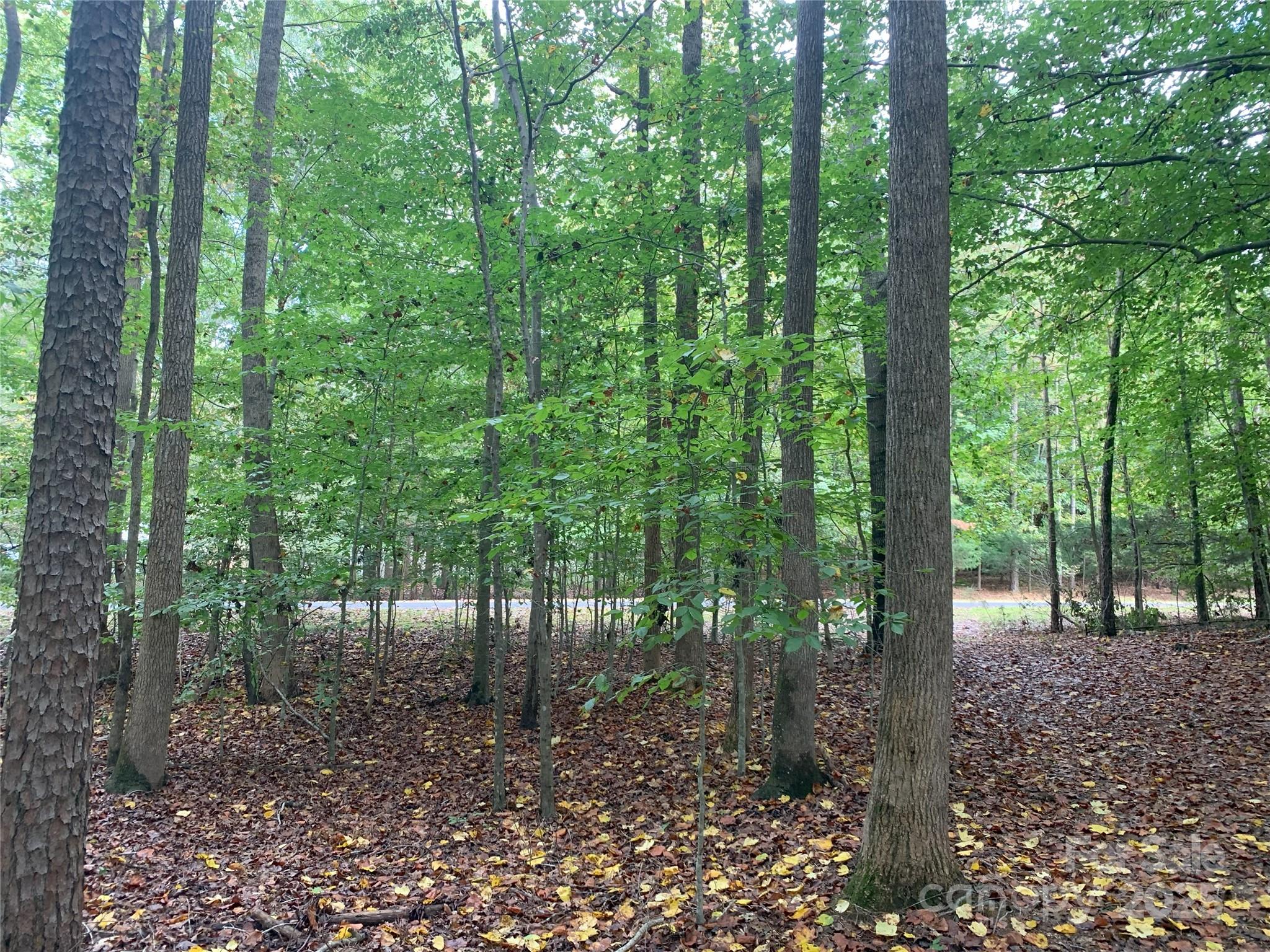 Deerwoods - Land