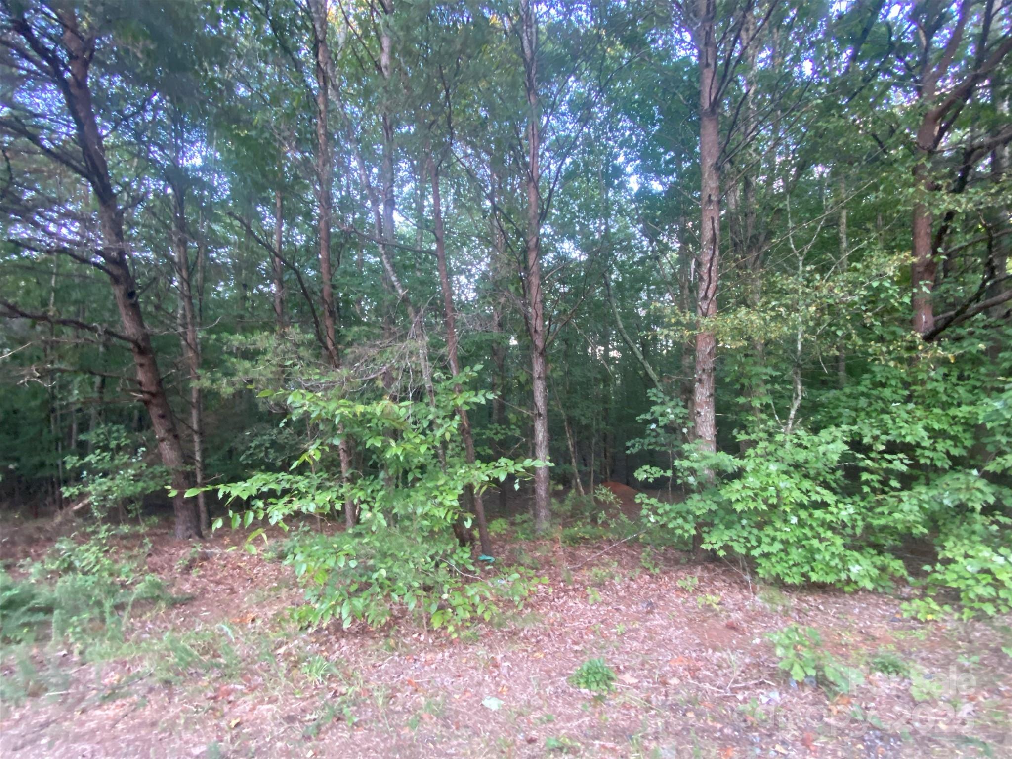 Deerfield - Land