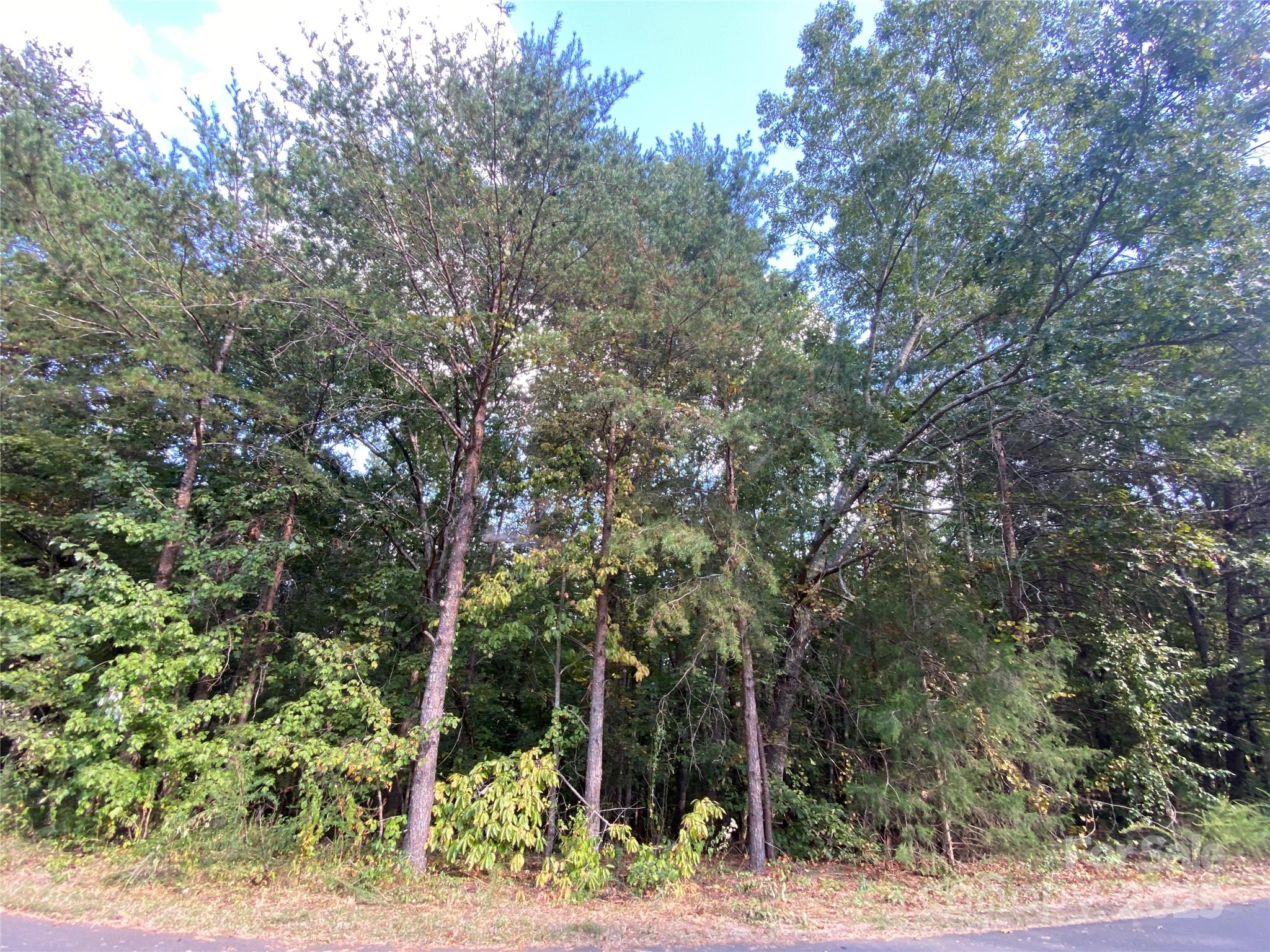 Deerfield - Land