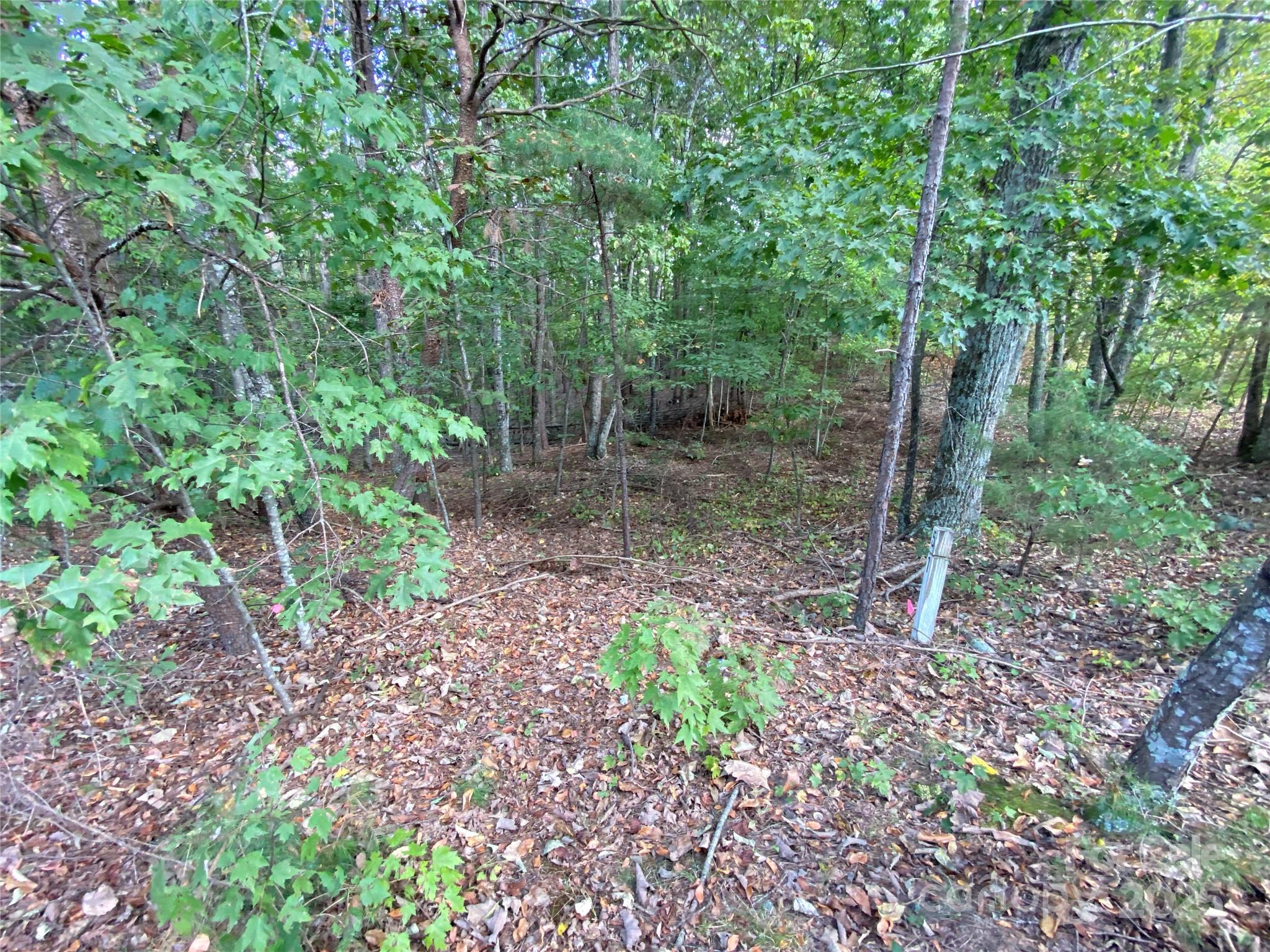 Deerfield - Land