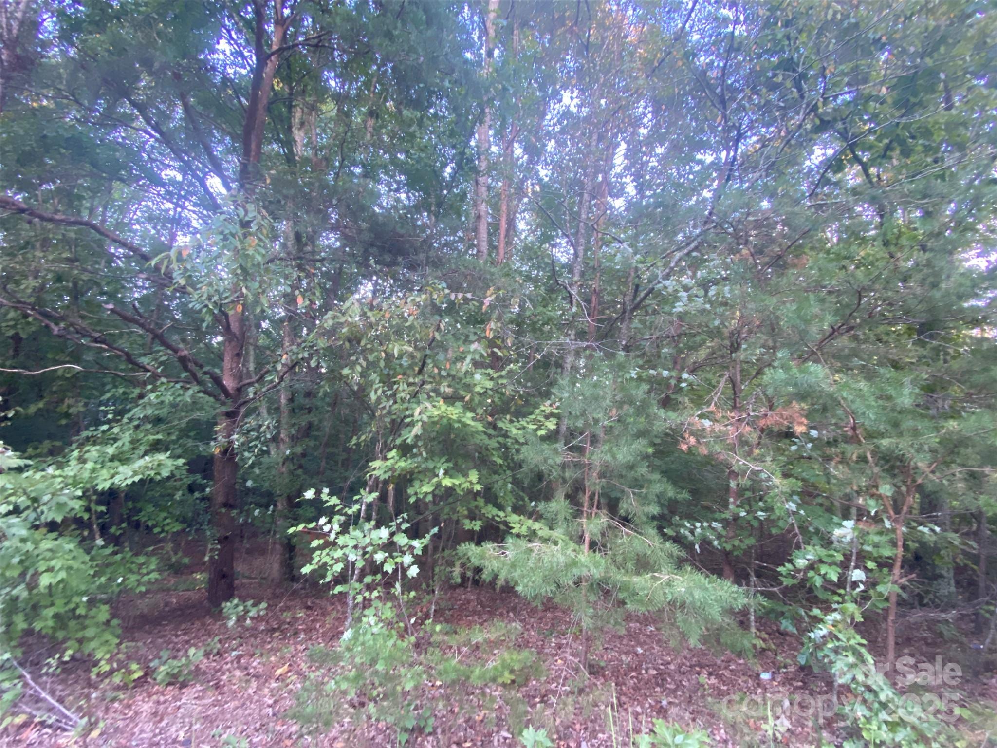 Deerfield - Land