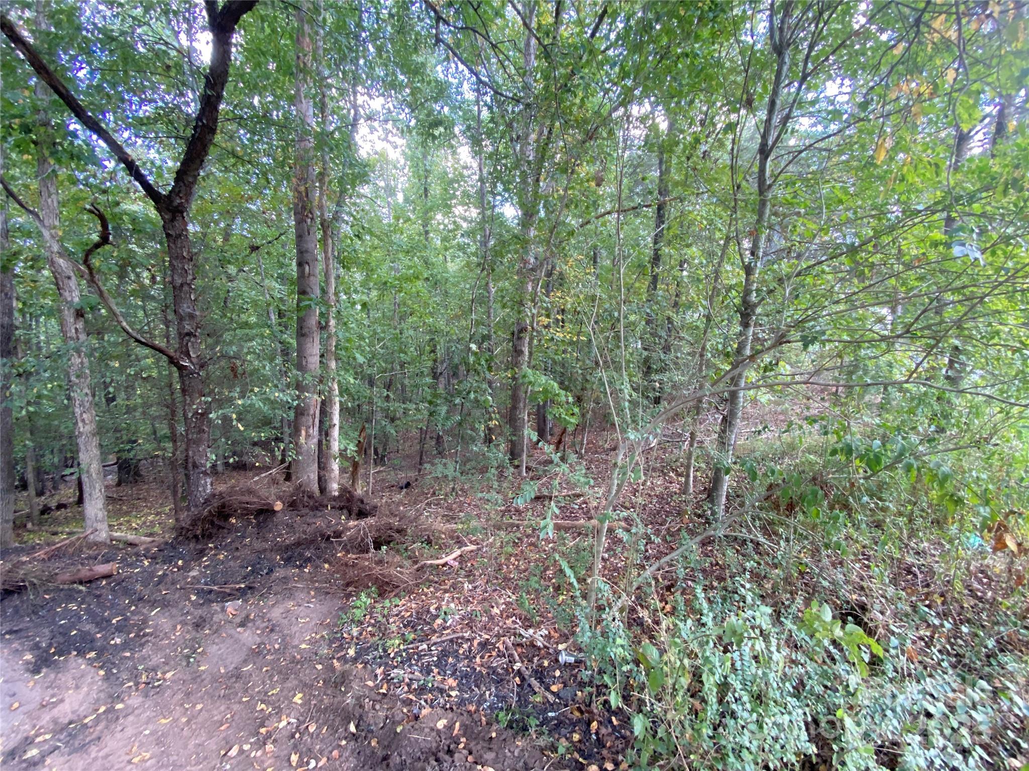 Deerfield - Land