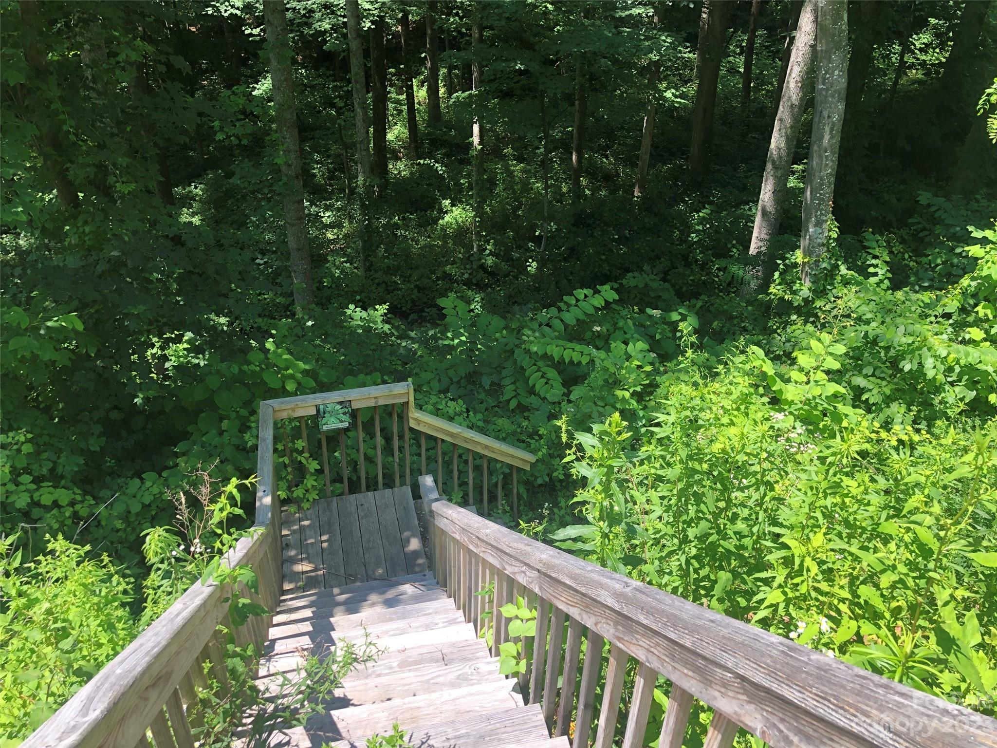 The Summit of Asheville - Land