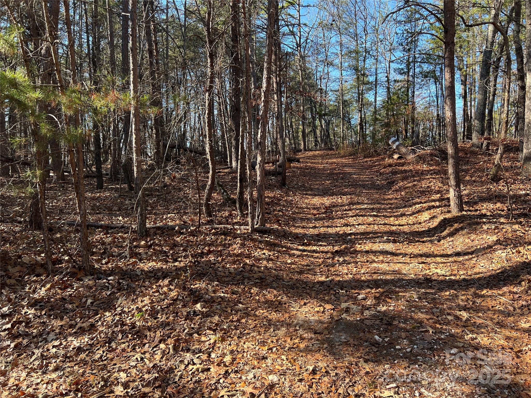 A hunters dream! Discover the serenity and potential of this 18-acre tract offering the best of South Carolina countryside living. This property features a mix of mature pines and hardwoods, providing both privacy and scenic beauty throughout. An old road bed meanders through the land, offering easy access to explore and enjoy every corner of the property.
With rolling topography and several elevated vistas, this parcel offers ideal spots for a future homesite, cabin, or deer lodge. The land is zoned AG (Agricultural), giving you flexible options for residential, recreational, or agricultural use. Surrounded by large neighboring tracts primarily used for deer hunting and recreation, this property offers a peaceful, secluded setting teeming with wildlife and opportunity.
Whether you’re looking to build your dream country home, create a private hunting retreat, or simply invest in land this property checks all the boxes.  Less than 15 minute drive to I-85 or York.  Septic permitting will be at Buyers expense. For directions, input 3205 Old Seine Road Smyrna SC in GPS.