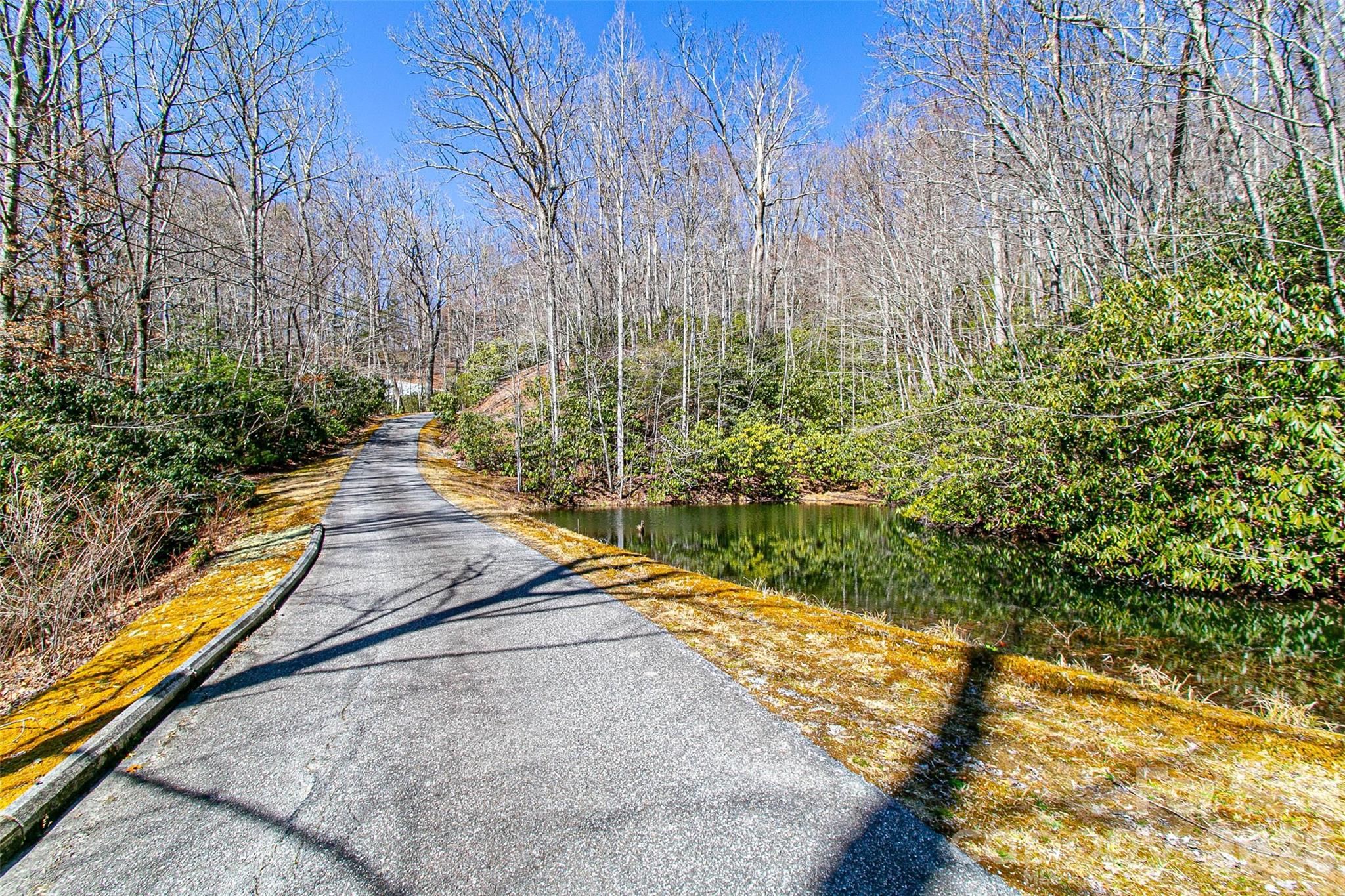 Nestled in a quiet natural setting, this parcel offers the perfect balance of privacy and convenience. Located just minutes from Brevard’s vibrant downtown and the trails of DuPont State Forest, it combines accessibility with a true mountain feel. A lively stream flows through the property, enhanced by the joining of two smaller creeks, creating a soothing backdrop year-round. Towering hardwoods mix with native rhododendron and mountain laurel, giving the land a lush, evergreen character. Multiple options exist for driveway access, whether from Hwy 276 at the lower end or from Still Branch Road above. An old logging road provides an easy path through the property. Whether you’re seeking a peaceful retreat or a private home site close to town, this land delivers both beauty and seclusion.
