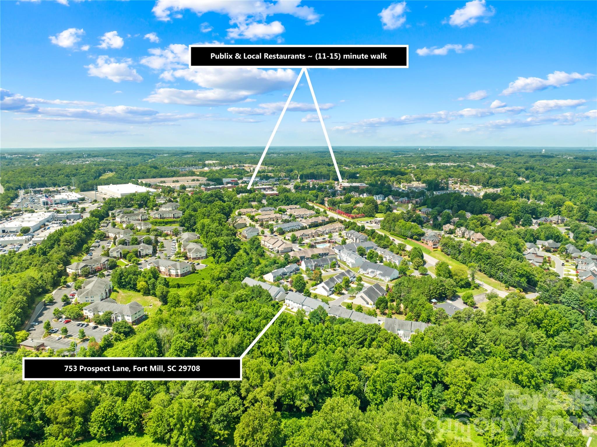 Palmetto Traces - Residential