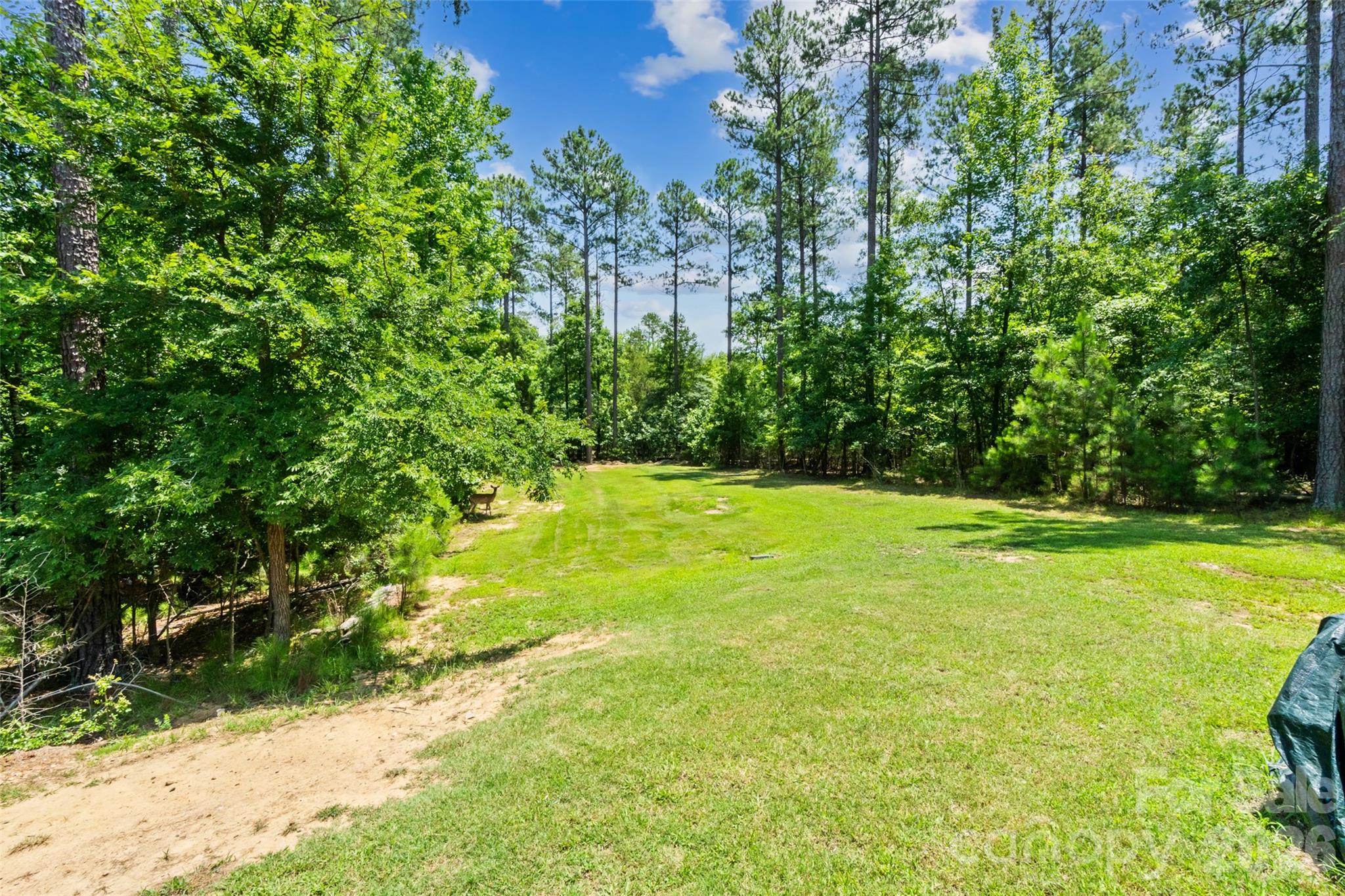 Foster Cove - Residential