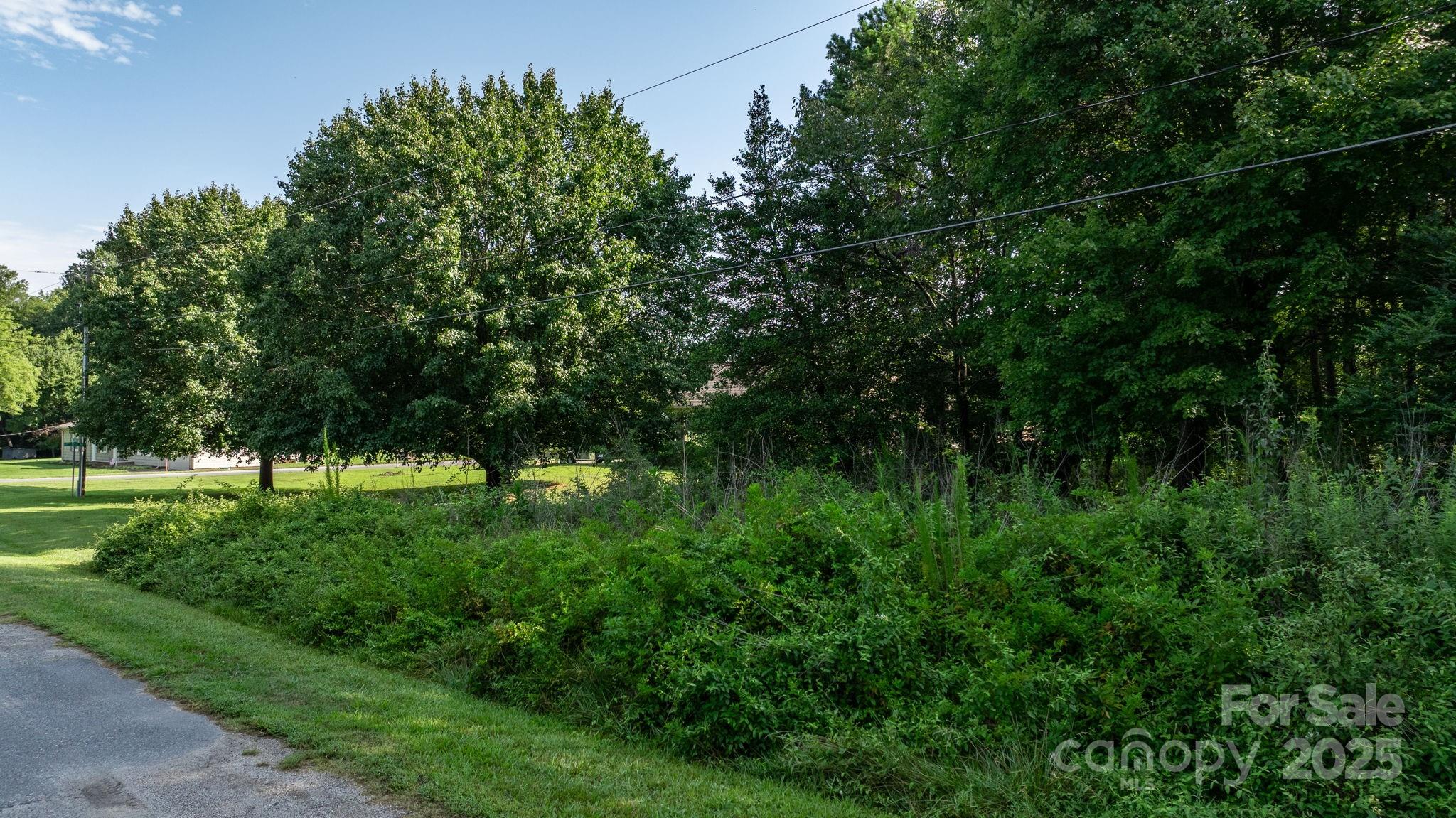 Catawba Forest - Land