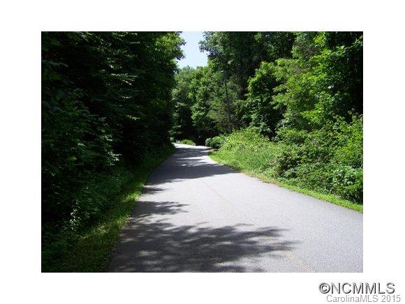Very nice gently rolling property. Easy areas for drive access and home site prep. Spring. Small pond area that can be restored with lining. Wooded. Private. Listen to the sounds of Plott Creek. Sizable hardwood trees along with Rhododendron and a wide variety of native plants. Common areas include paved roads, security gate, open air pavilion, Over 200 acres in Conservation Easement to remain undeveloped.