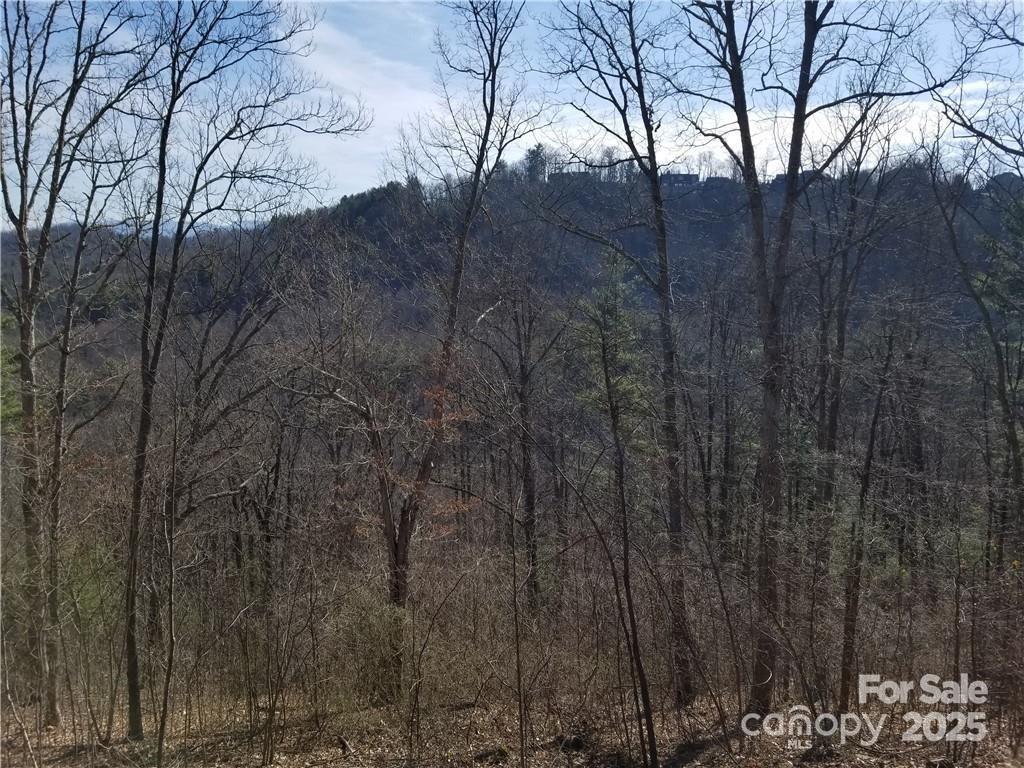 Reynolds Mountain - Residential