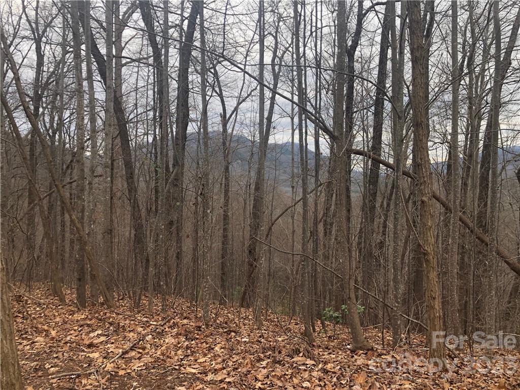 Build your dream home with Long Range Mountain views.  the gated community of Cedar Creek Mountain is located just north of Lake Lure and Chimney Rock.  With golf courses, hiking, fishing all just minutes away.  This 3 acres lot offers the opportunity to be tucked away in nature but only a short drive to all amenities. AT&T fiber optic in place.