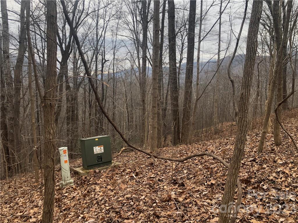 Cedar Creek - Land