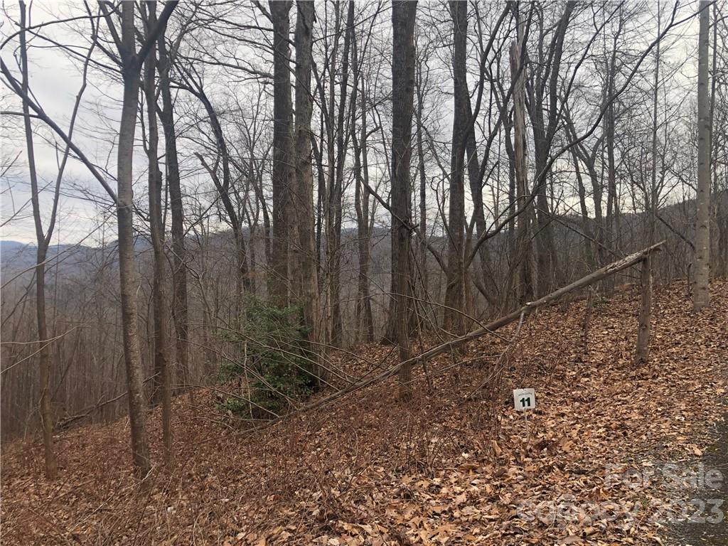 Cedar Creek - Land