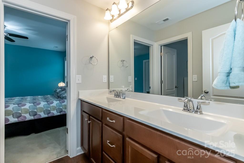 Palm Tree Cove II - Residential