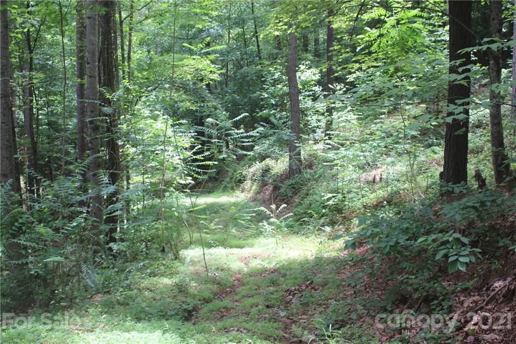 Your dream home will fit right into this private wooded lot.  Only 1400 square foot minimum to build. Gated community.  Underground power (Duke Energy).   Install your own well (your very own fresh unadulturated drinking water!).  Lake Rhodhiss is a pristine lake located in the foothills of the Blue Ridge Mountains in Western North Carolina. The lake is popular for its water clarity and accessibility to areas like Hickory, Charlotte, Asheville, Winston-Salem and the lovely mountains in Boone. Lake Rhodhiss NC is a popular place to enjoy swimming, boating, water skiing, and fishing. In fact, there are many fishing tournaments held on the lake, as it is home to a variety of different species of fish.