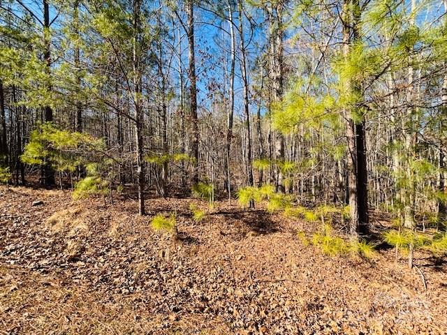 Clearwater Creek - Land