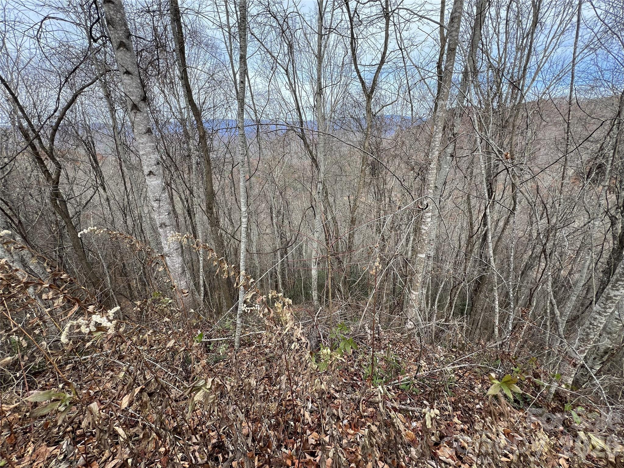 Deer Ridge - Land