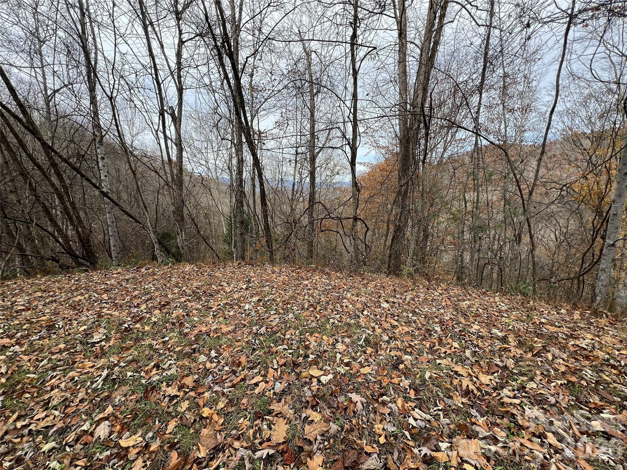 Deer Ridge - Land